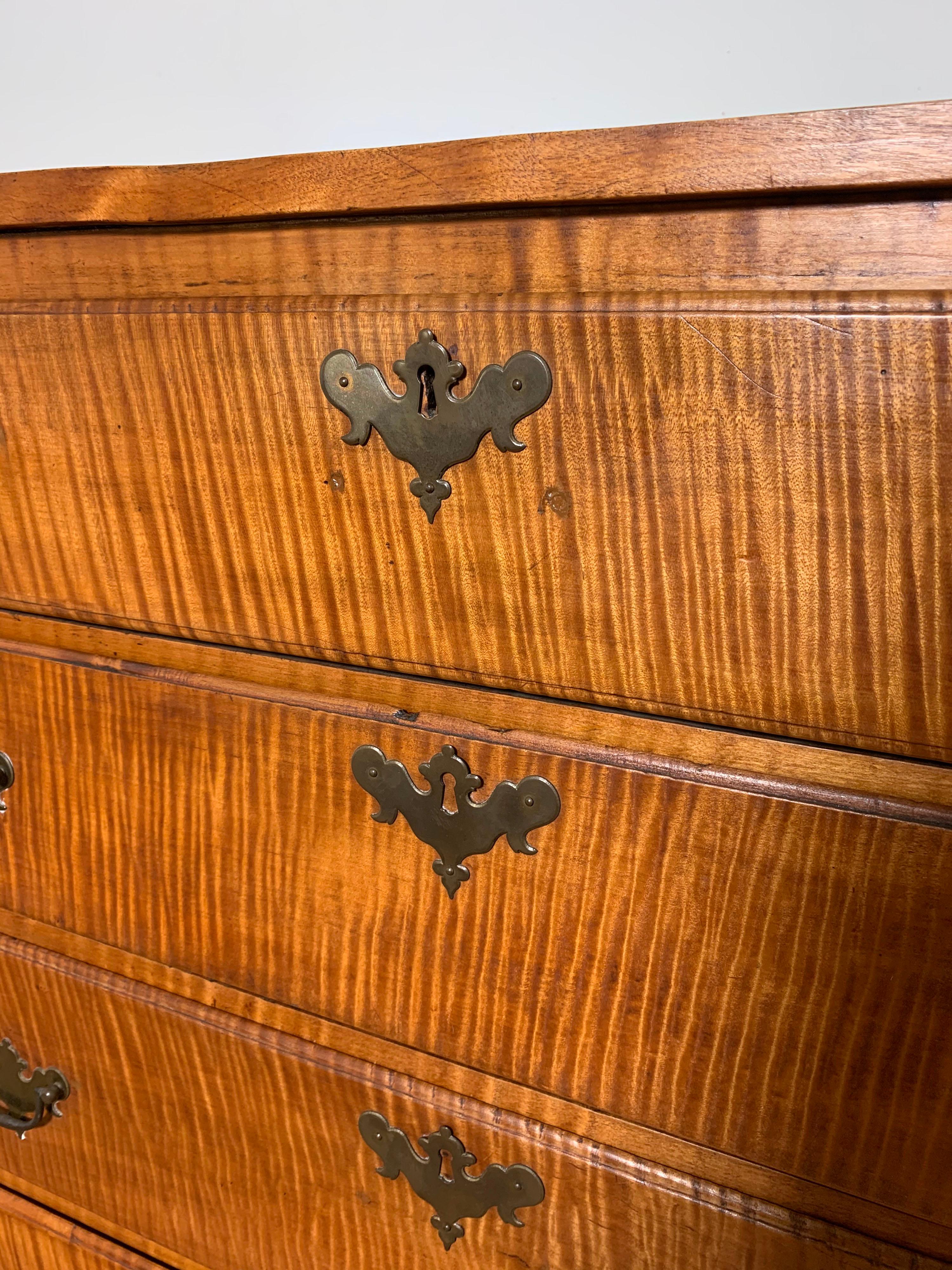 Brass Antique 18th Century Tiger Maple Chippendale Chest