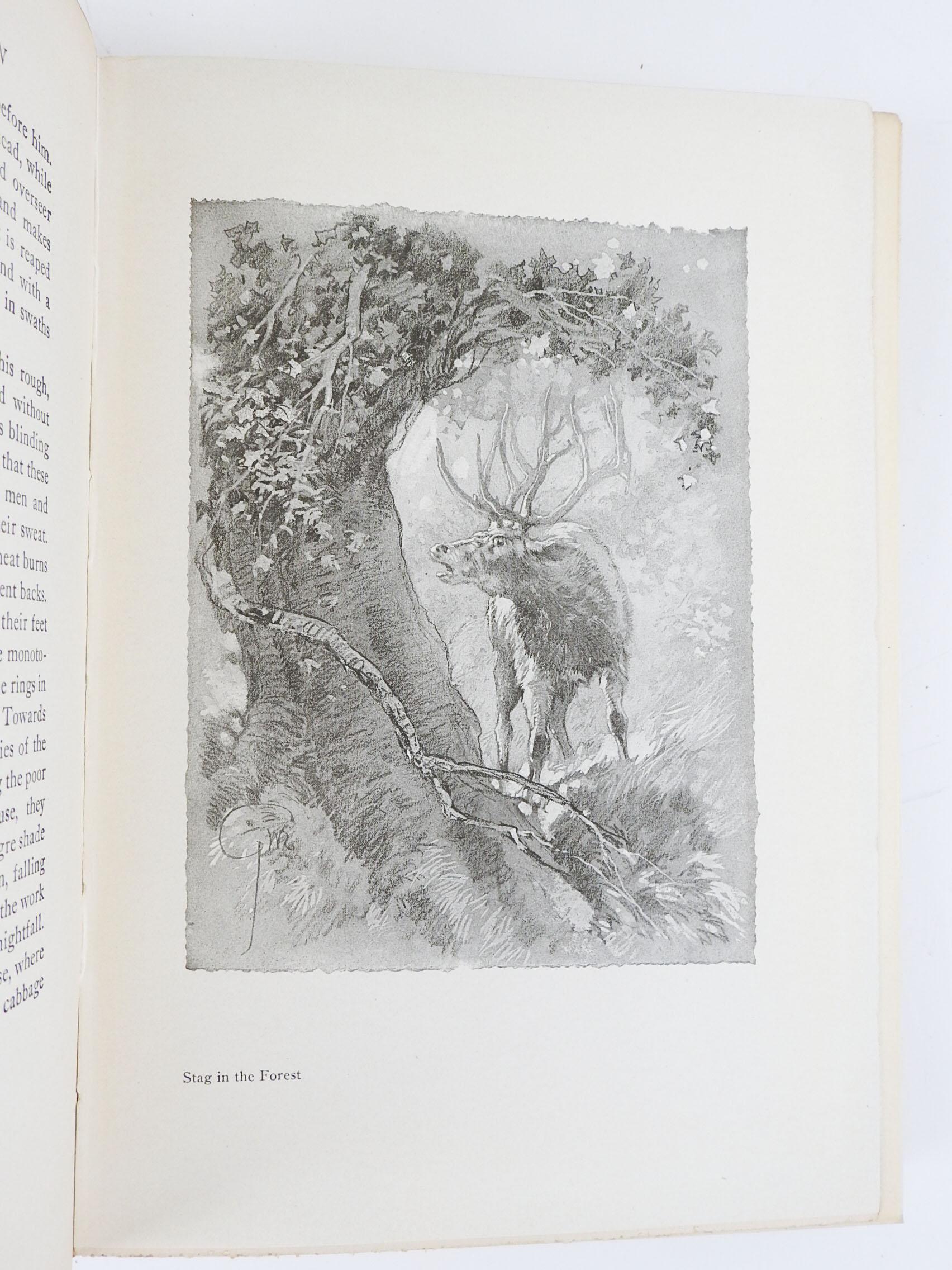 Papier Livre de légendes de la Forêt d'Arden, Antique 1914 en vente