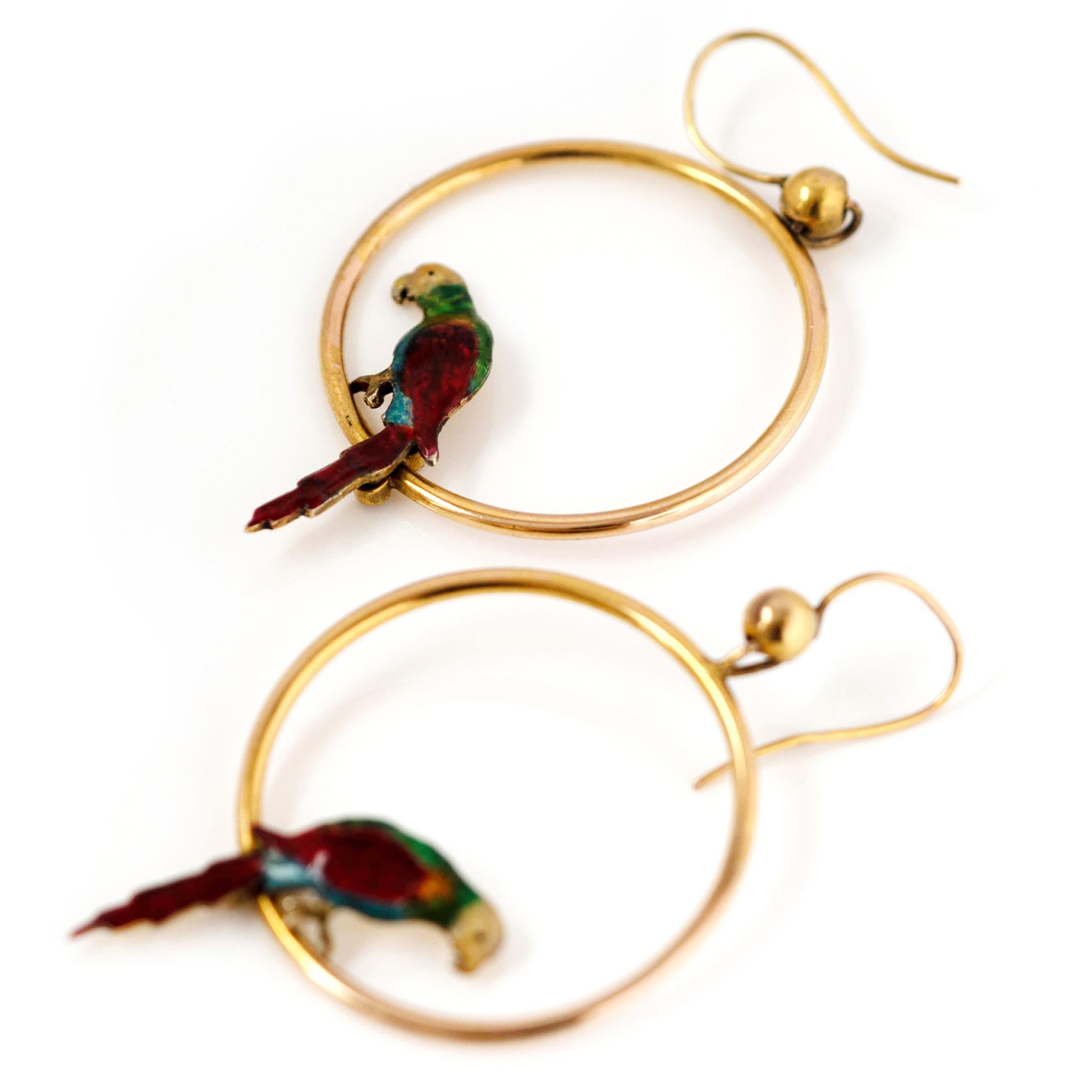 Antique 1920s Enamel Parrot 9ct Gold Hoop Earrings 1