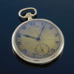 Antique 1920s Patek Philippe & Co. Pocket Watch Retailed by Spaulding & Co.