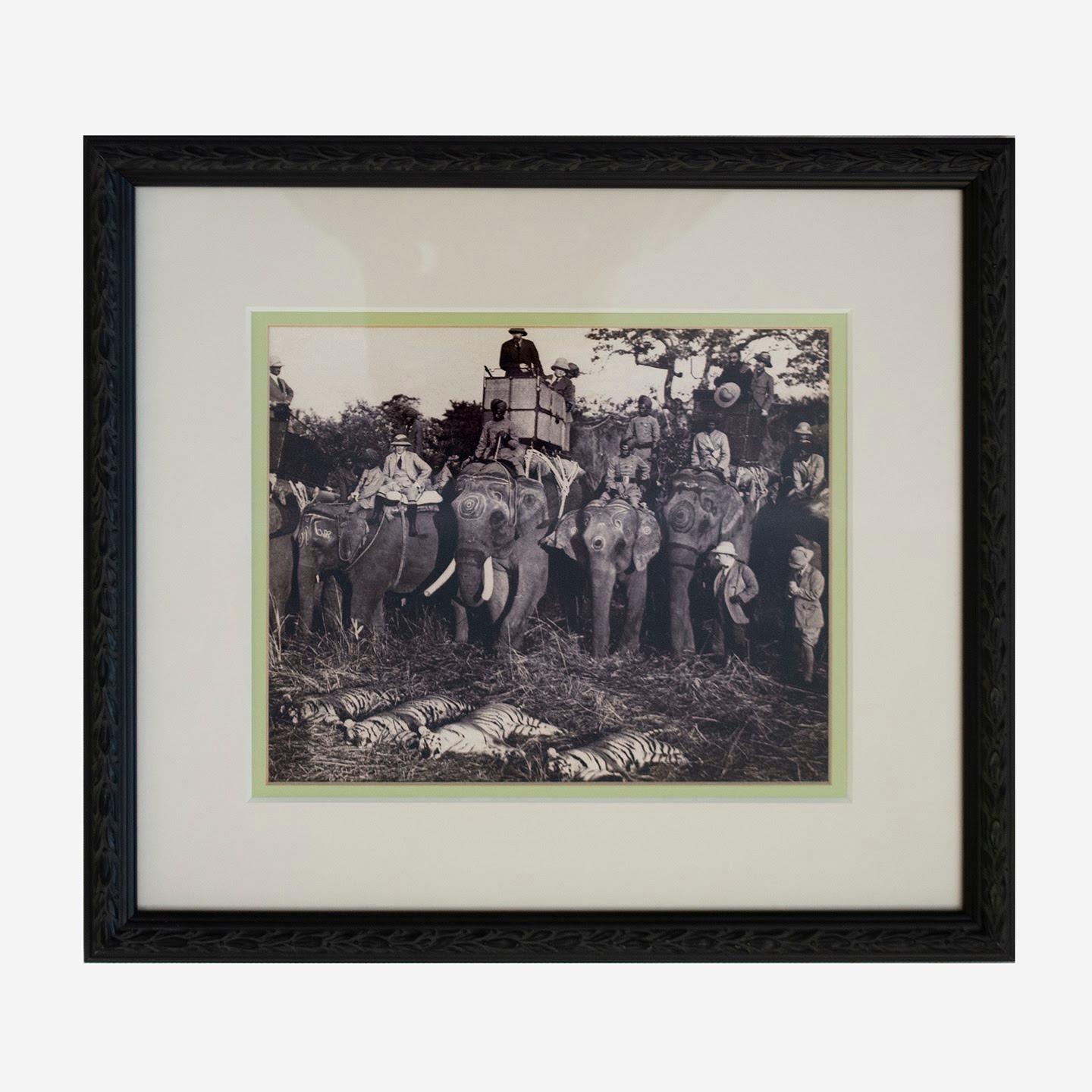 Anglo Raj Antique 1930s Photos of a Tiger Hunt in Colonial India For Sale