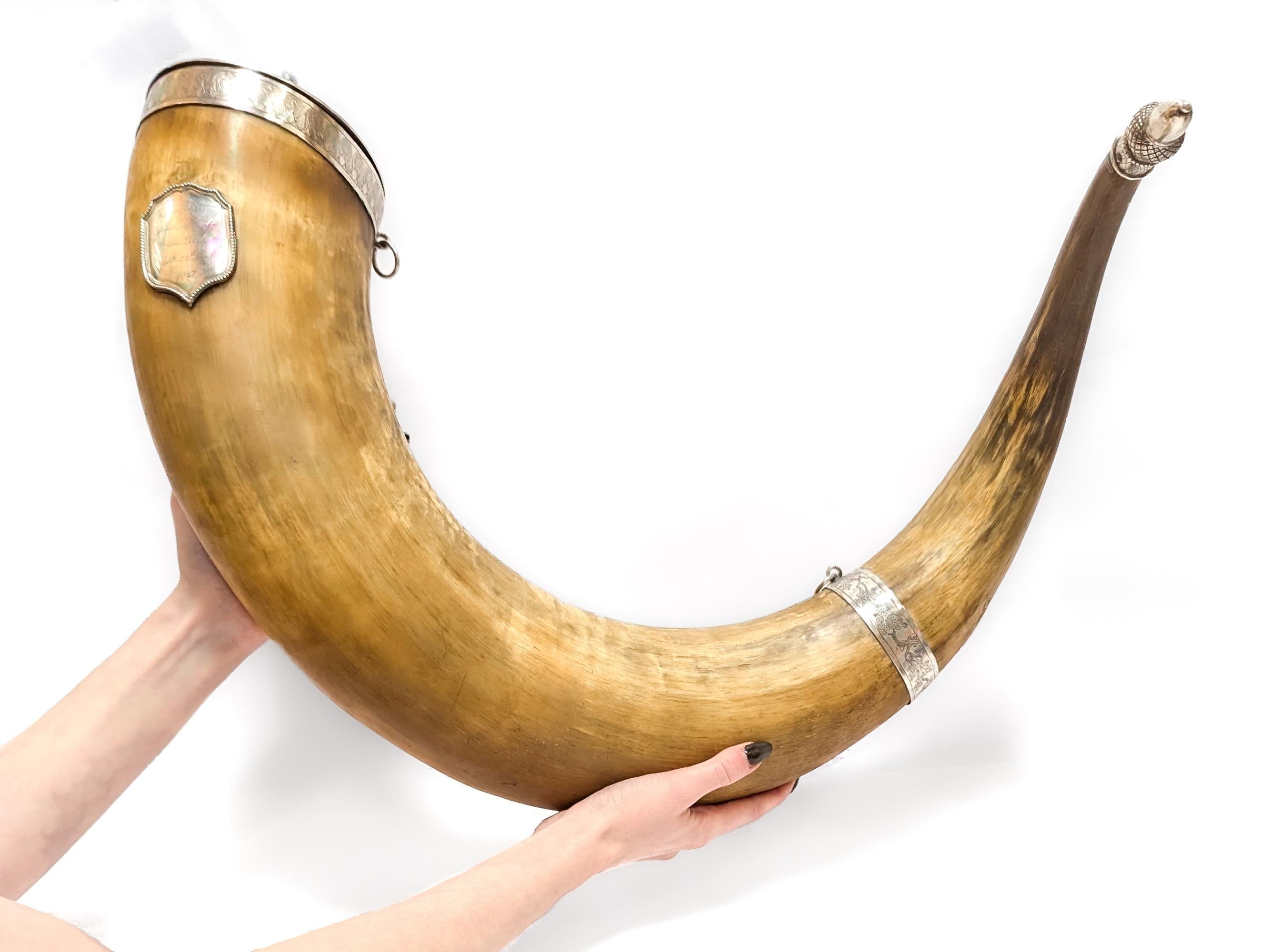Un bel corno da cerimonia o rhyton del XIX secolo.

Composto da un grande corno curvo con montature placcate in argento.

Dotato di 2 collari placcati in argento (ciascuno con anelli per una catena o un cordino), un coperchio e un terminale figurato