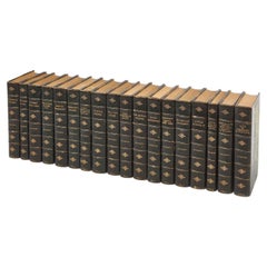 Antique 19th c. Books - Fine Leather Bindings - Set of Novels by Charles Dickens