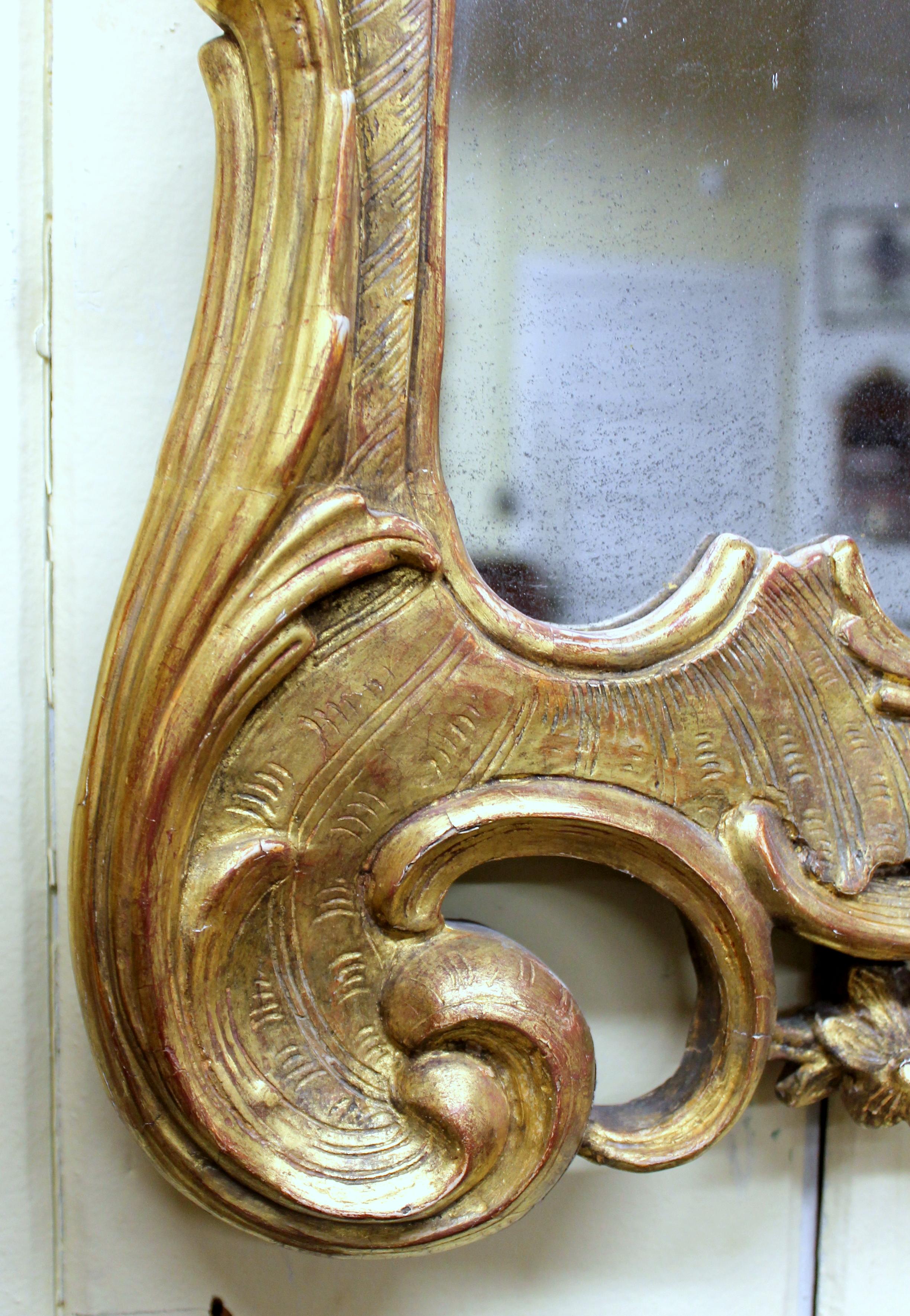 19. Jahrhundert Europäischer Spiegel aus geschnitztem Holz und Gesso im Rokoko-Stil mit vergoldetem Rahmen im Angebot 14