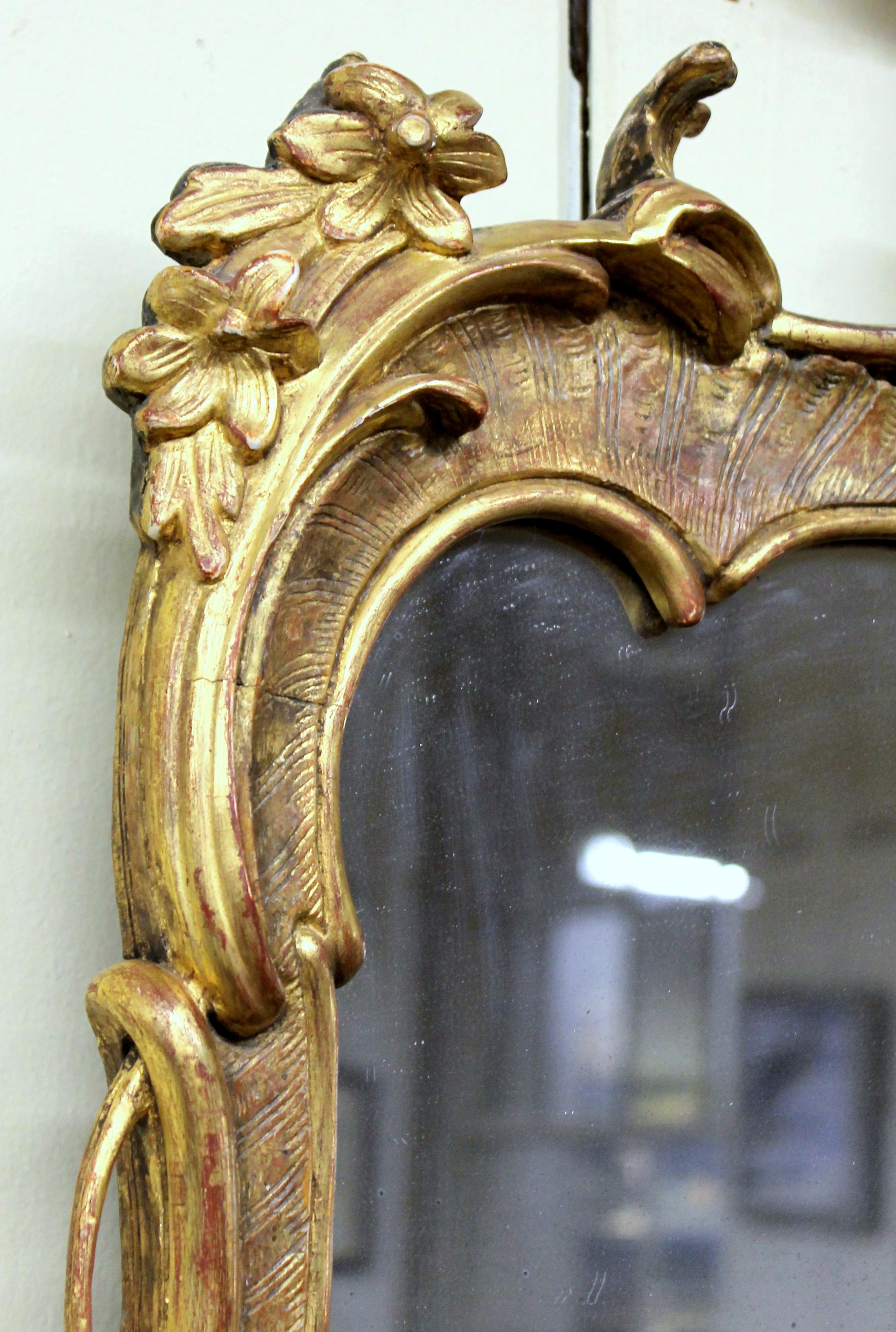 19. Jahrhundert Europäischer Spiegel aus geschnitztem Holz und Gesso im Rokoko-Stil mit vergoldetem Rahmen (Handgeschnitzt) im Angebot