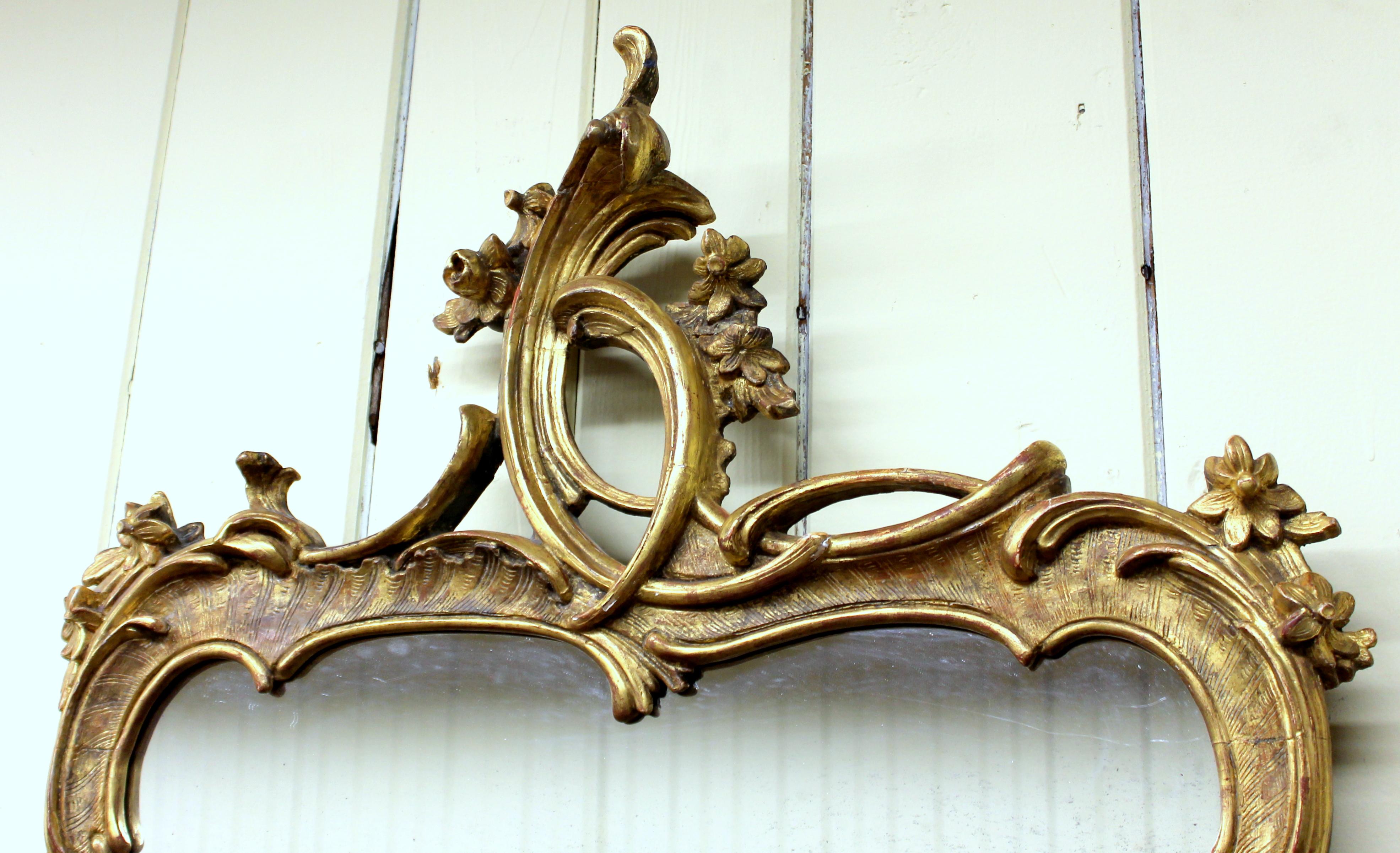 19. Jahrhundert Europäischer Spiegel aus geschnitztem Holz und Gesso im Rokoko-Stil mit vergoldetem Rahmen im Zustand „Gut“ im Angebot in Charleston, SC