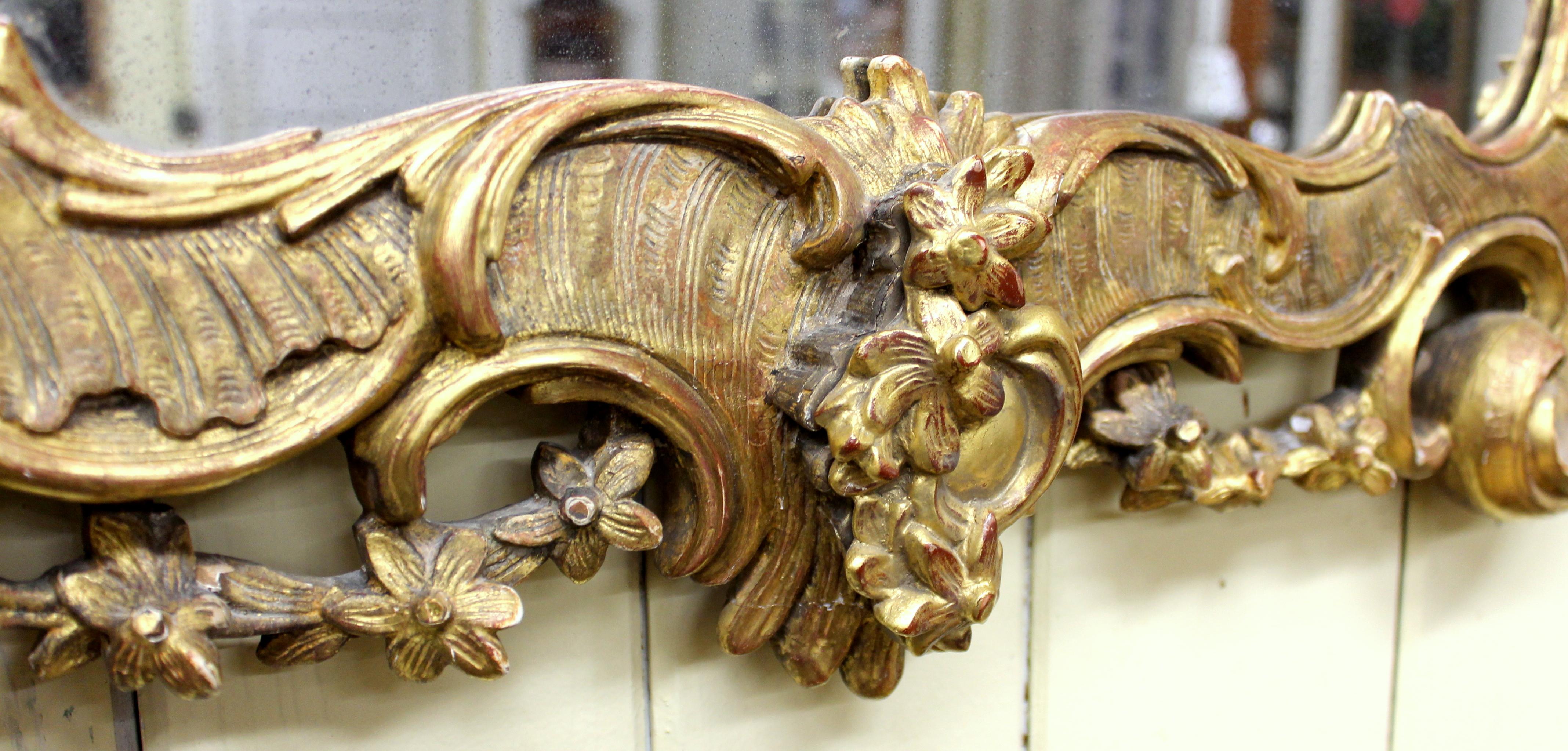 19. Jahrhundert Europäischer Spiegel aus geschnitztem Holz und Gesso im Rokoko-Stil mit vergoldetem Rahmen im Angebot 2