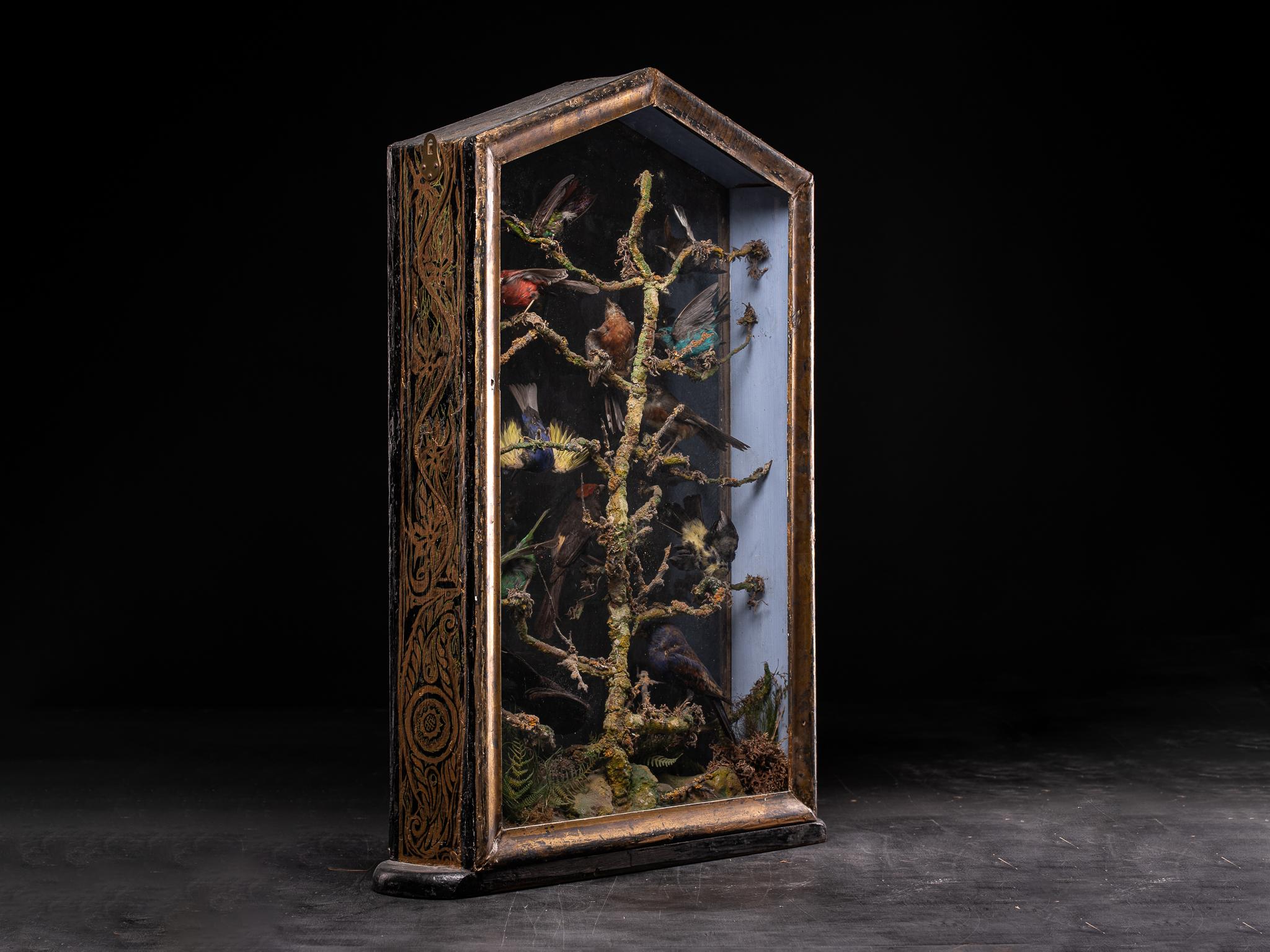 Antique 19th C Polychromed Diorama with 12 Taxidermy Tropical Birds In Good Condition In Leuven , BE