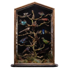 Antique 19th C Polychromed Diorama with 12 Taxidermy Tropical Birds