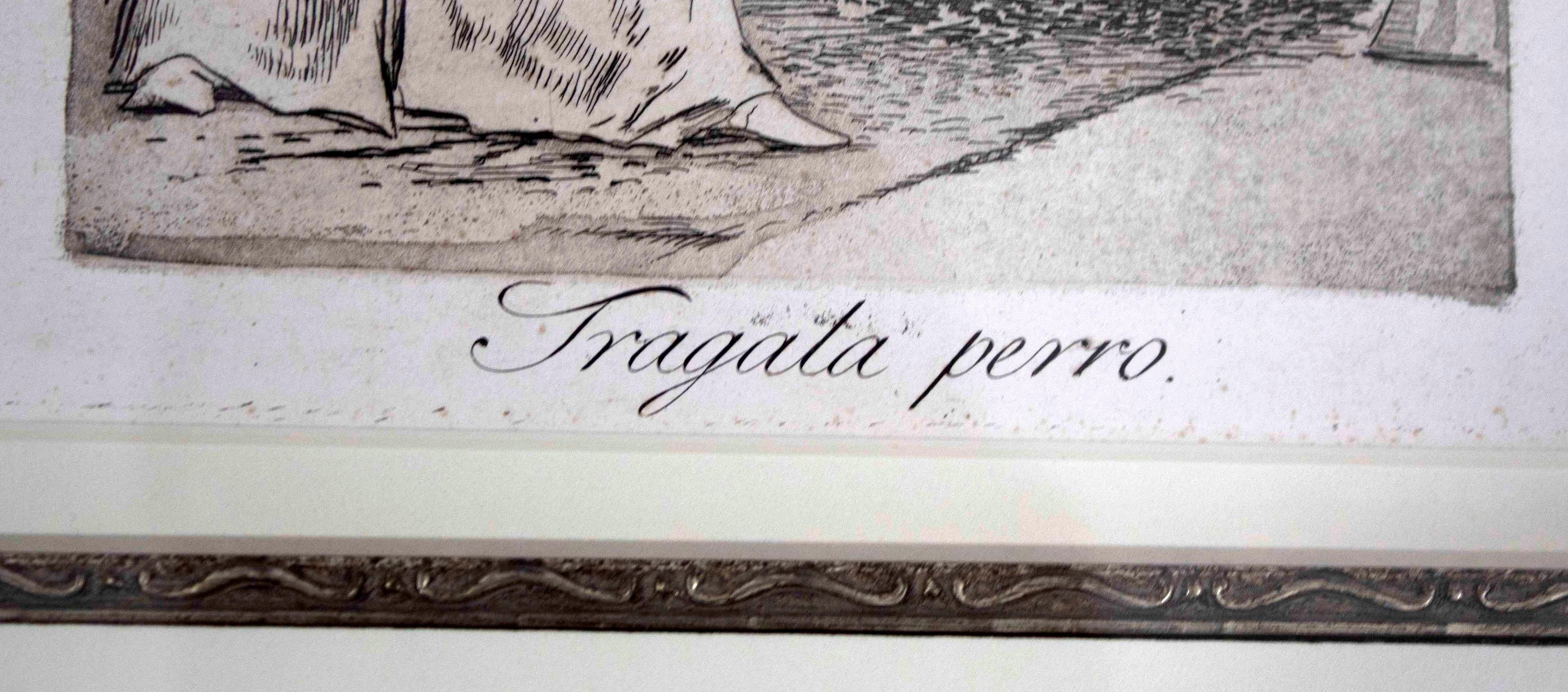 19th Century Antique 19th Cent. Framed Francisco Goya Tragata Perro Swallow That Dog Etching