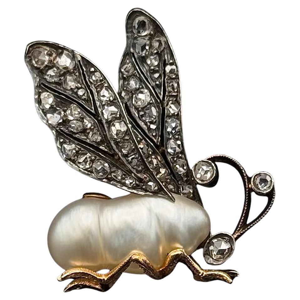 Antiguo Siglo XIX Barroco Perla Diamante Insecto Abeja Broche Plata Oro