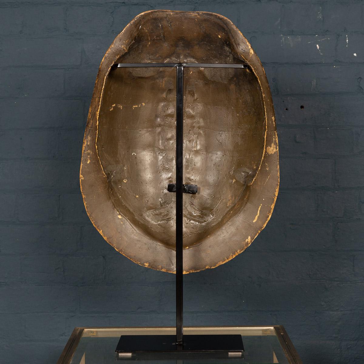 South American Antique 19th Century Blonde Turtle Shell On Mounted Stand, circa 1890
