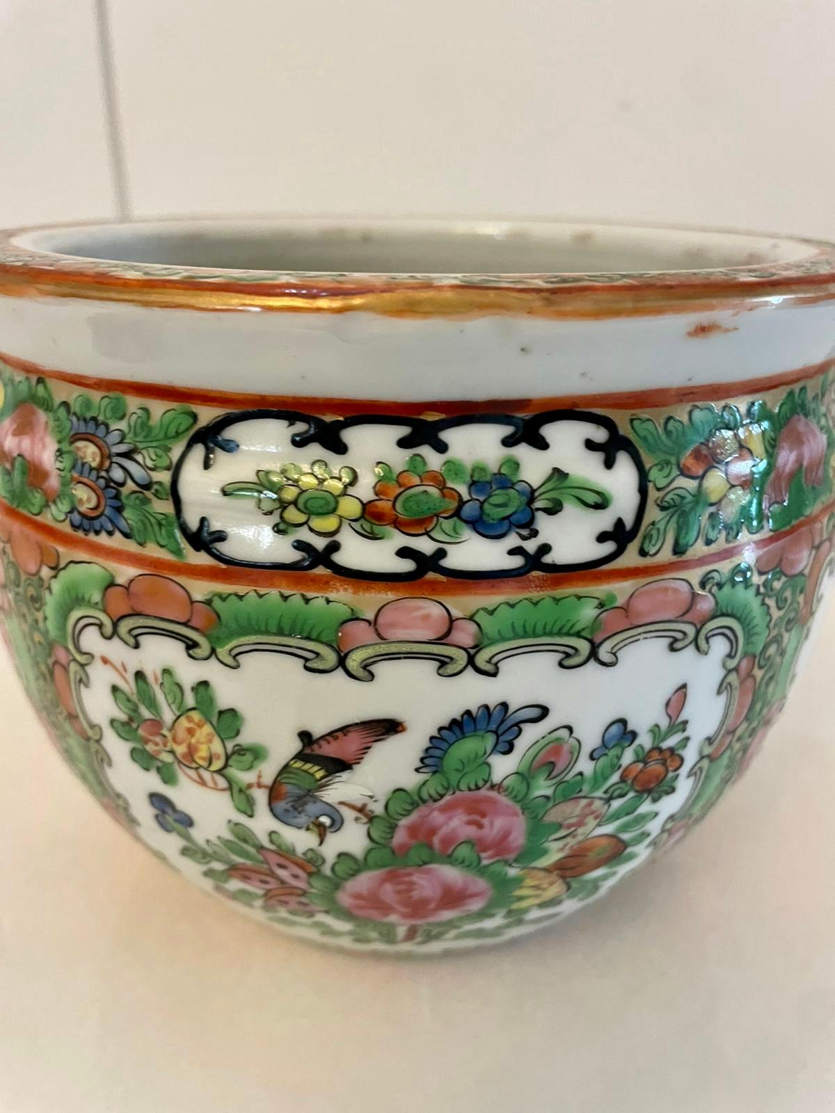 Antique 19th Century Chinese Quality Canton Famille Rose Jardinière For Sale 1
