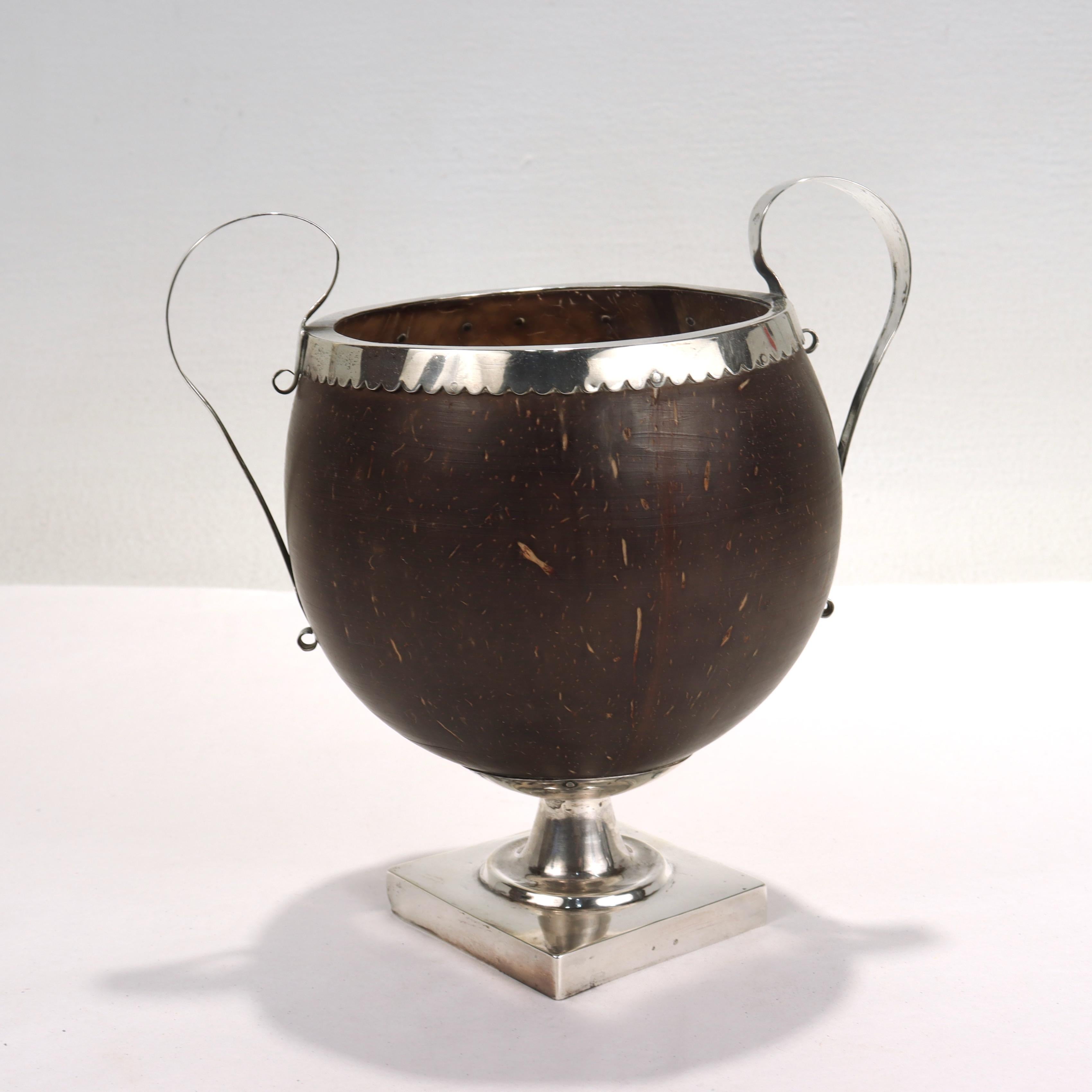 coconut shell vase