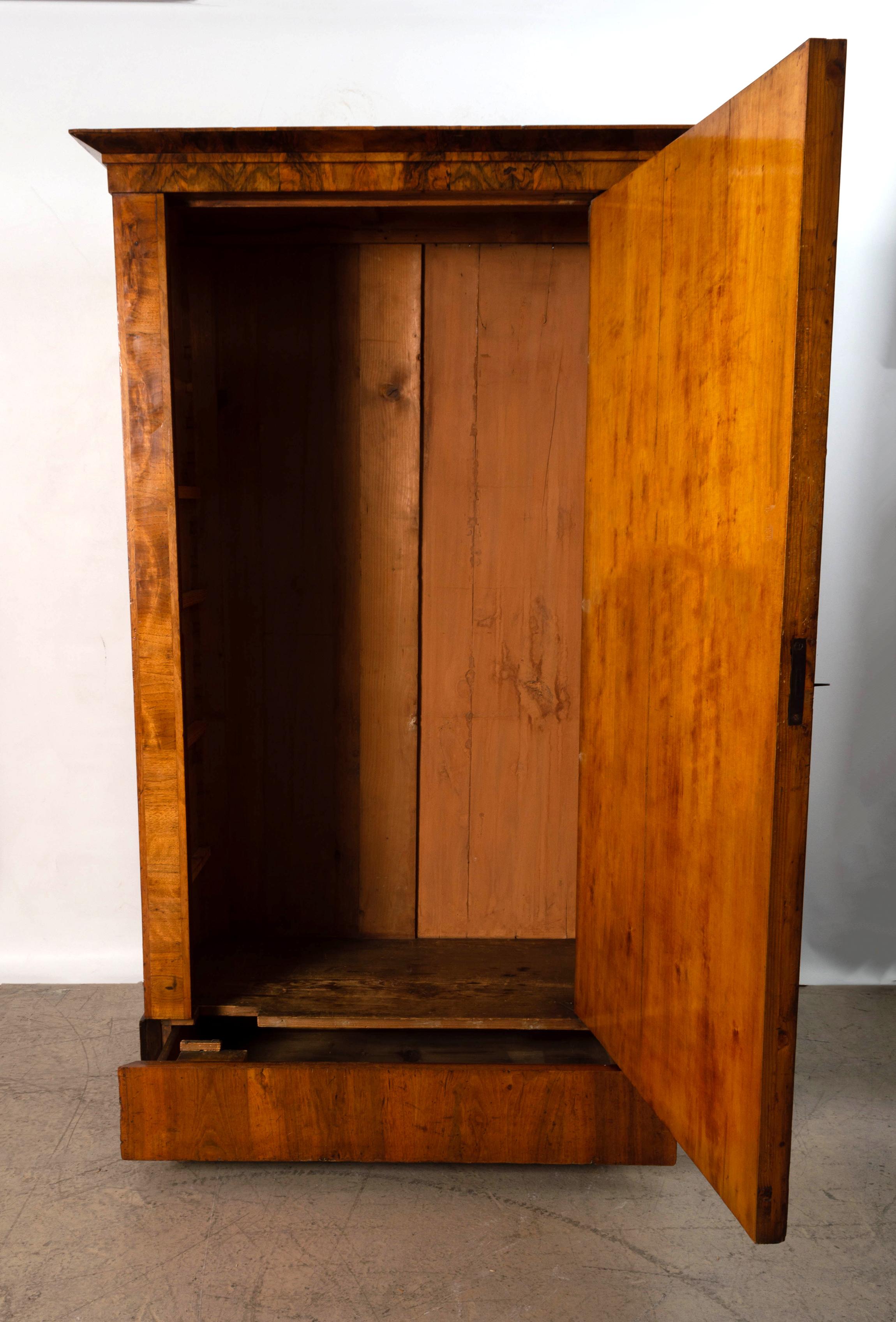 Antique 19th Century Danish Figured Walnut Cabinet Cupboard C.1860 For Sale 9