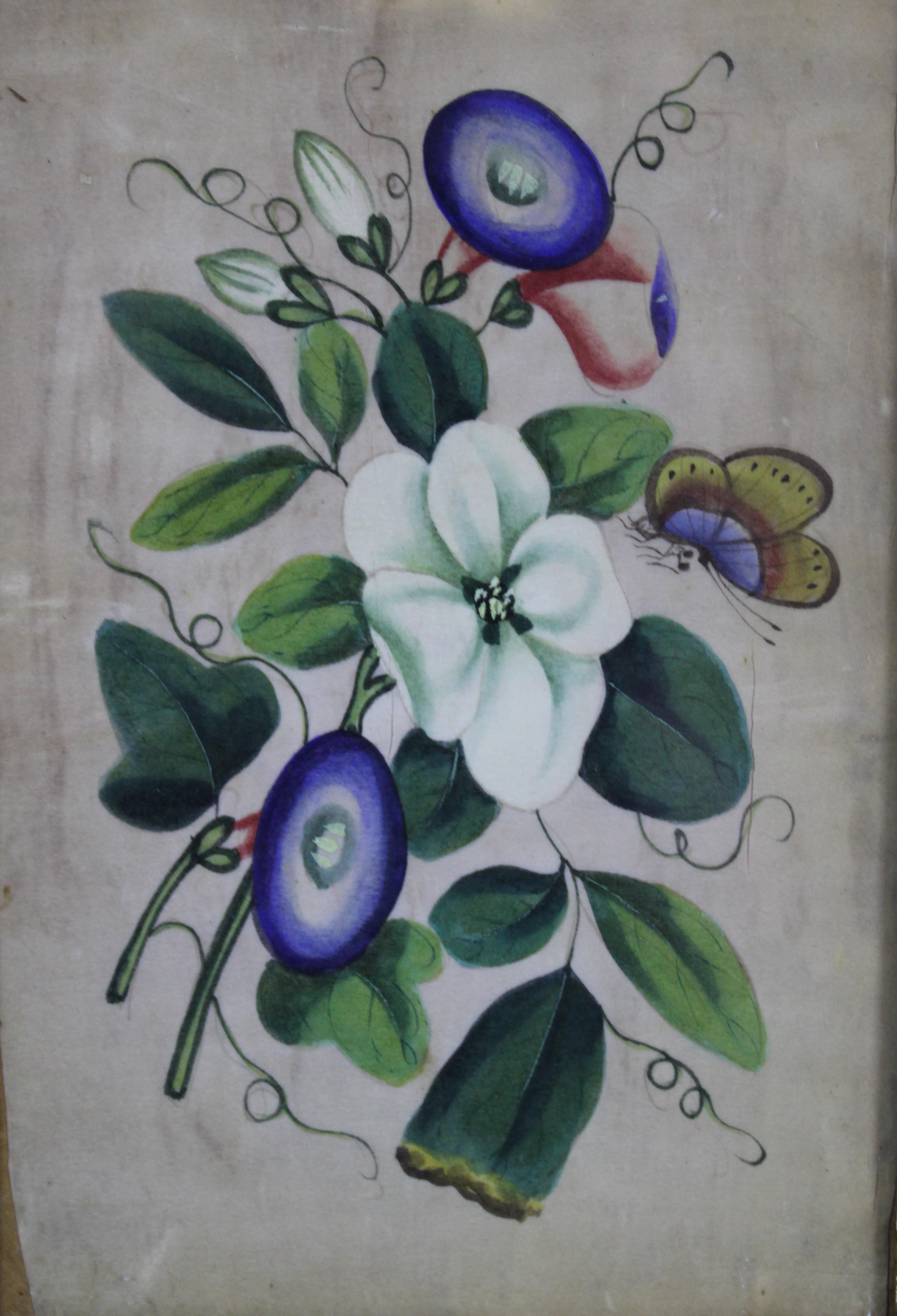 Antique 19th Century Floral Botanical Butterfly Watercolor Painting on Paper 1
