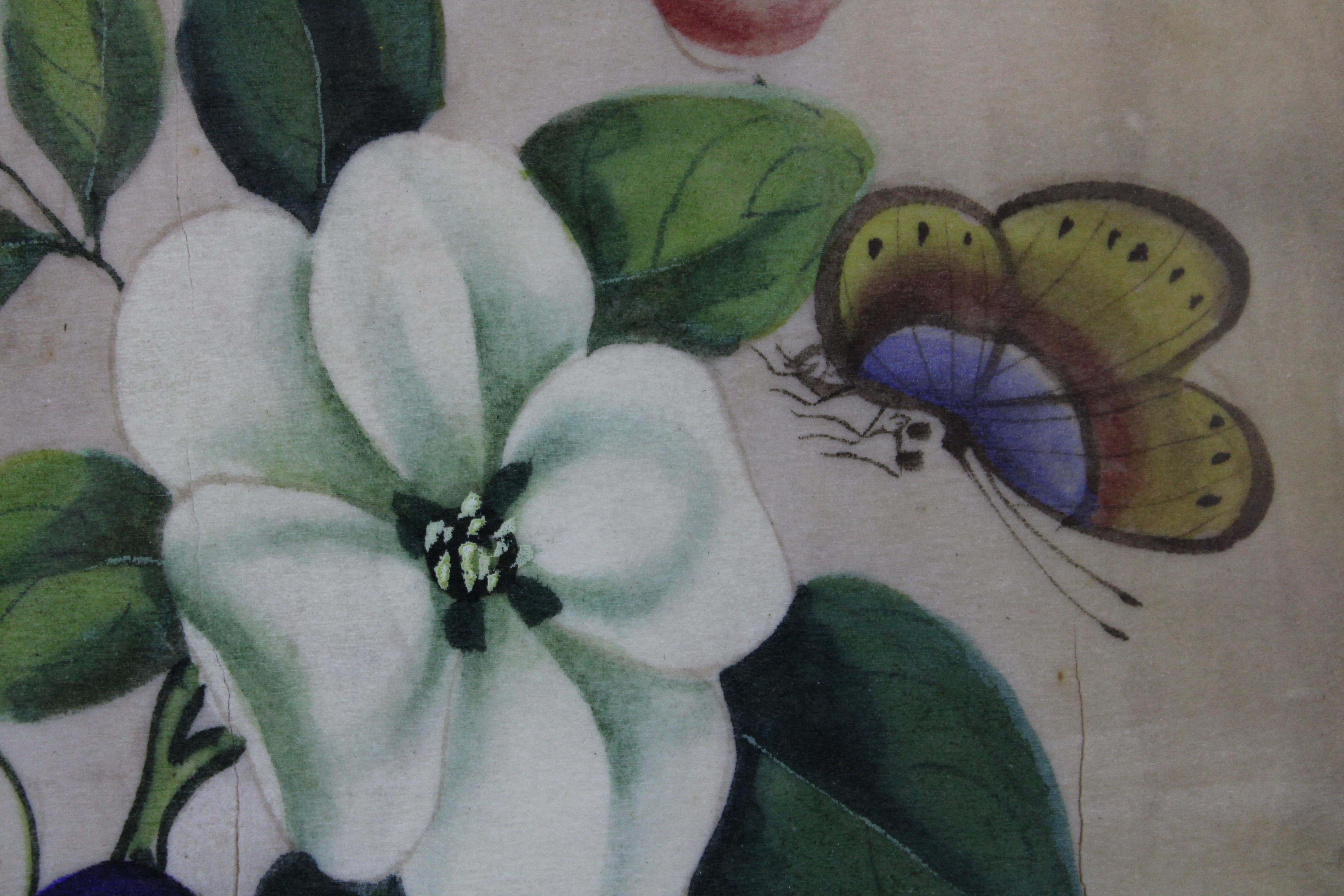 Antique 19th Century Floral Botanical Butterfly Watercolor Painting on Paper 4