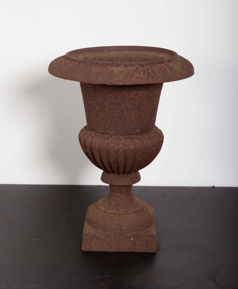 Antique Classic shaped urn, hint of original green finish around top of urn on square base. Base measures: 5.5