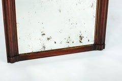 Antique 19th Century French Grain Painted Mahogany Louis Philippe Mirror