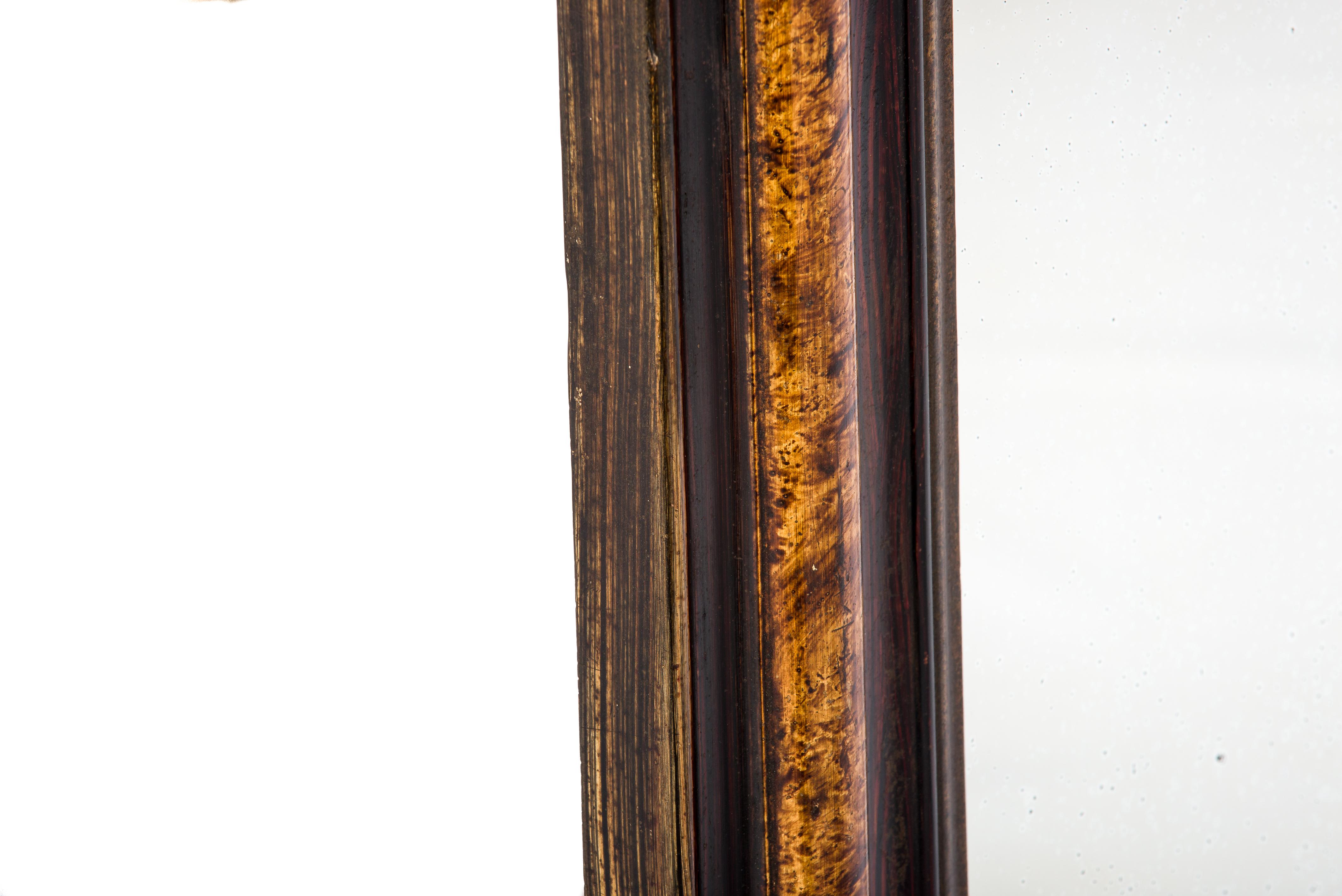 Antique 19th Century French Grain Painted Rosewood Louis Philippe Mirror For Sale 1