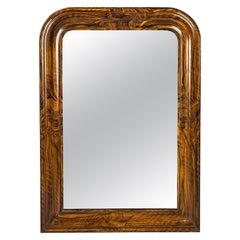 Antique 19th Century French Grain Painted Rosewood Louis Philippe Mirror