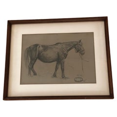 Antique 19th Century German Framed Pencil Drawing of a Horse by Otto Strützel