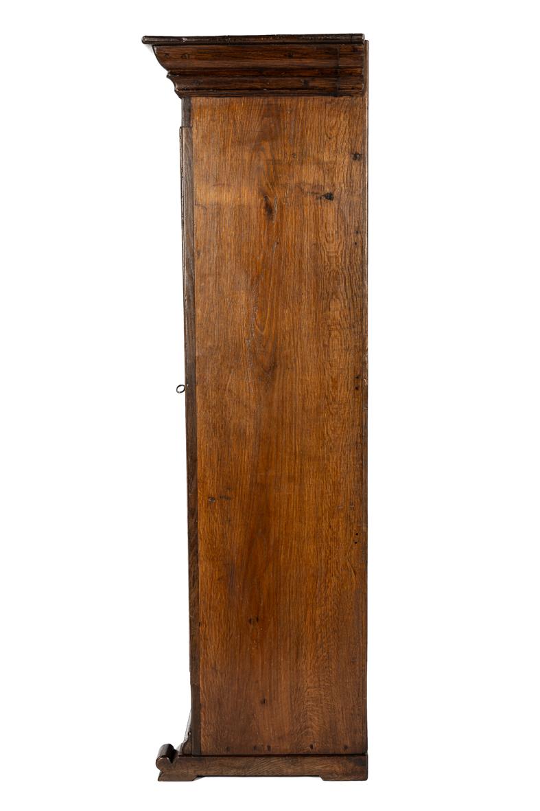 German Antique 19th century german solid oak warm brown two-door cupboard or cabinet For Sale