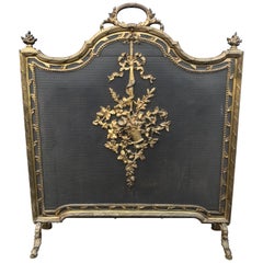 Antique 19th Century Gilt Bronze and Wrought Iron Firescreen with Mint Wire Mesh