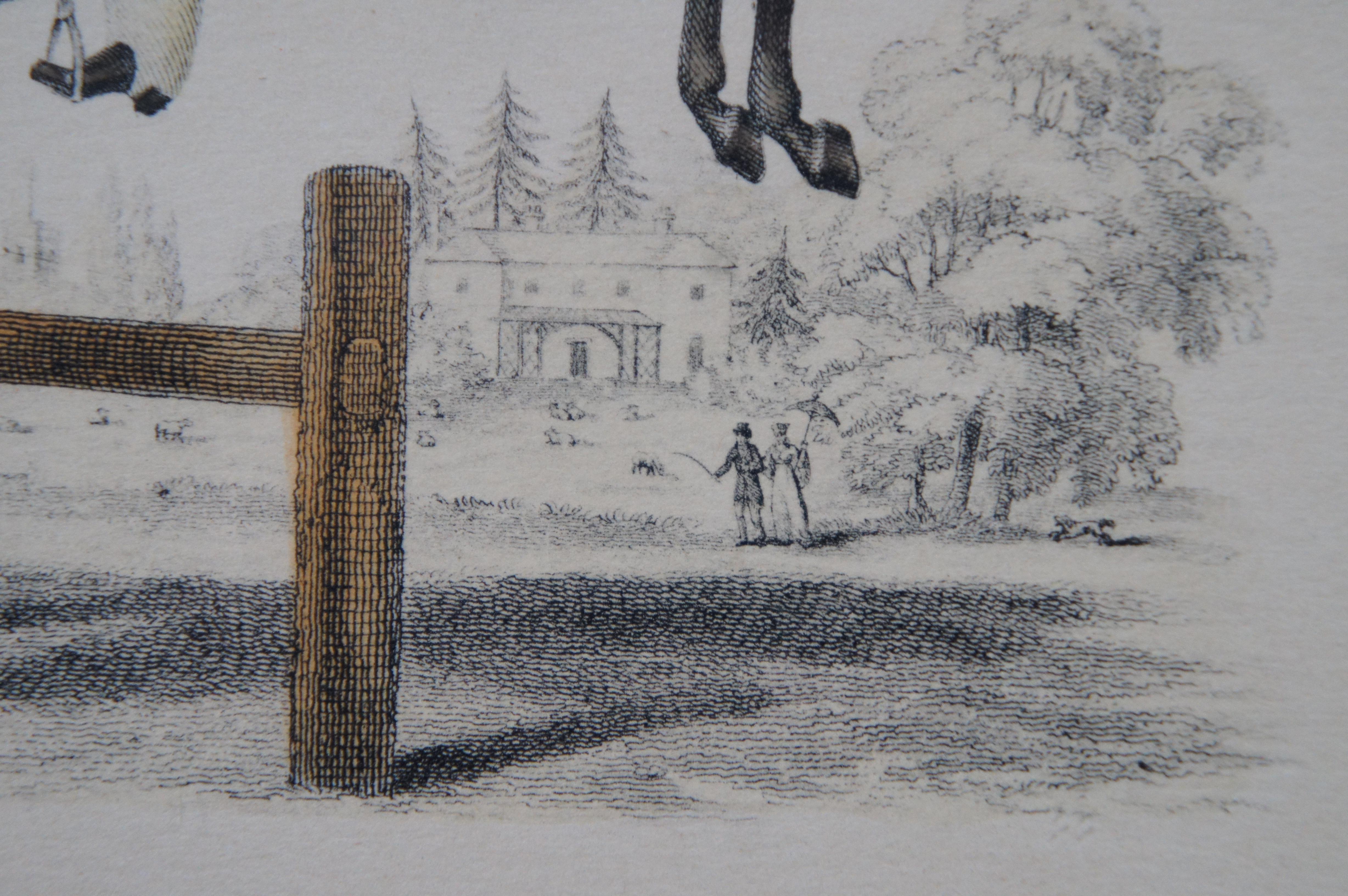 Gravure ancienne du 19ème siècle, colorée à la main, représentant un saut de cheval équestre 9 pouces 3