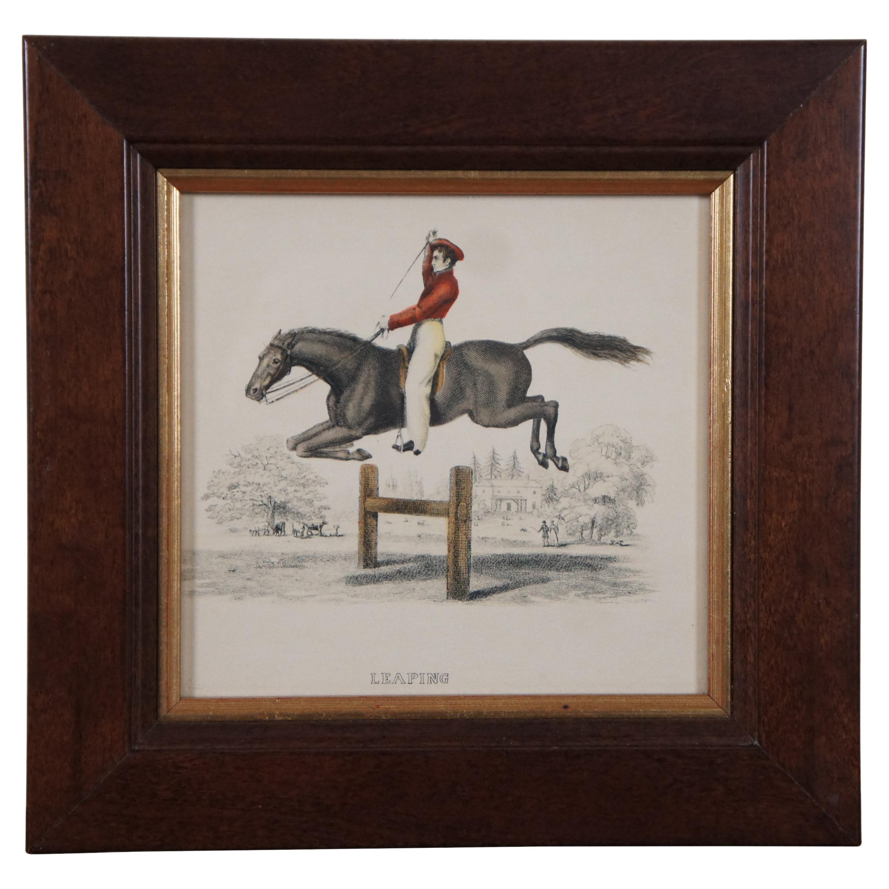 Gravure ancienne du 19ème siècle, colorée à la main, représentant un saut de cheval équestre 9 pouces