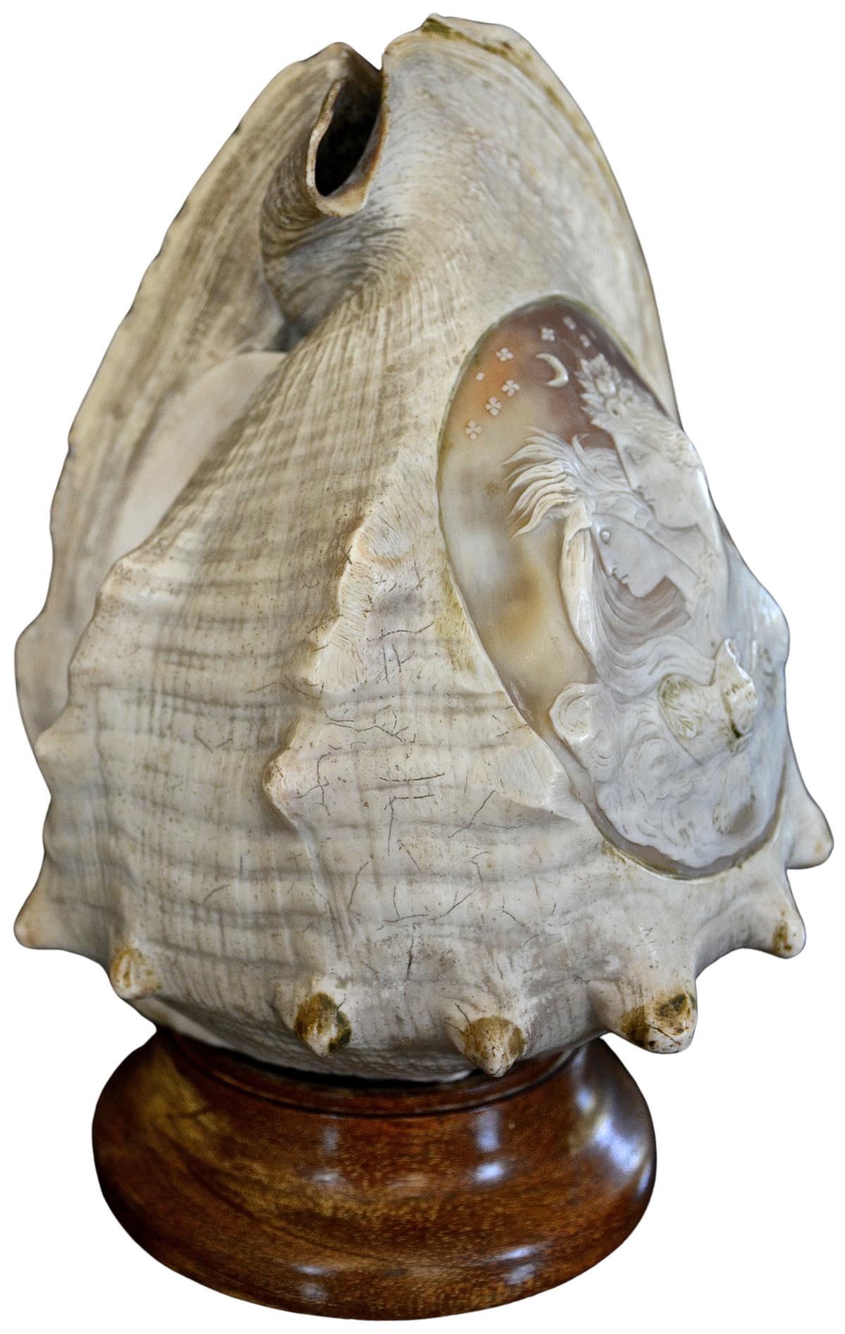 Hand-Carved Antique 19th Century Italian Carved Cameo Conch Shell For Sale