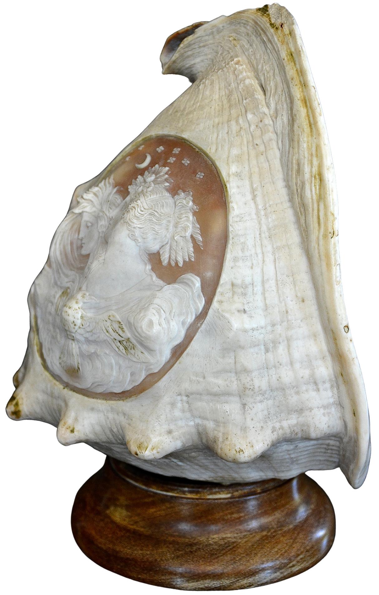 Antique 19th Century Italian Carved Cameo Conch Shell For Sale 4