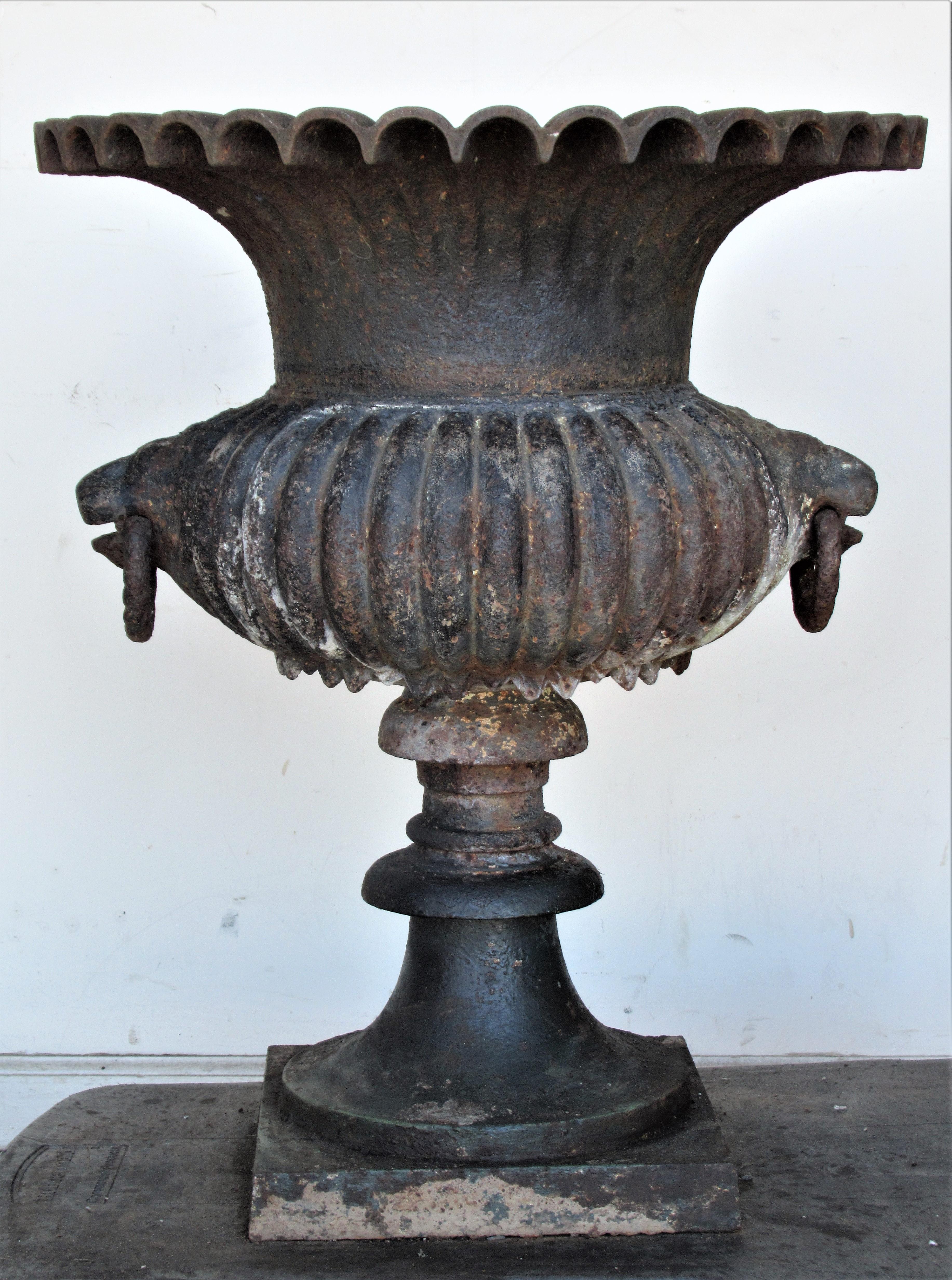 19th Century Cast Iron Campagna Form Garden Urn For Sale 1