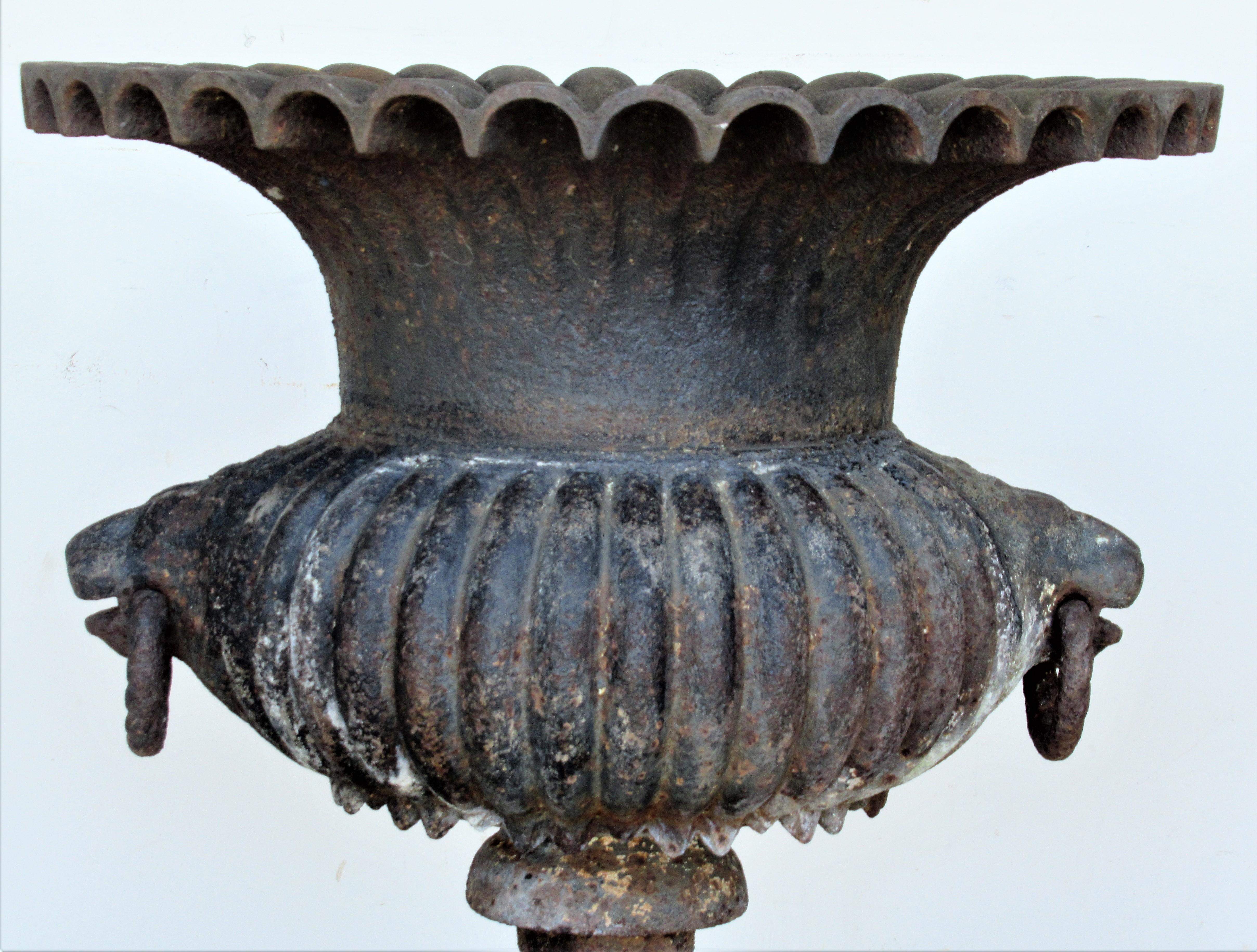 19th Century Cast Iron Campagna Form Garden Urn For Sale 2