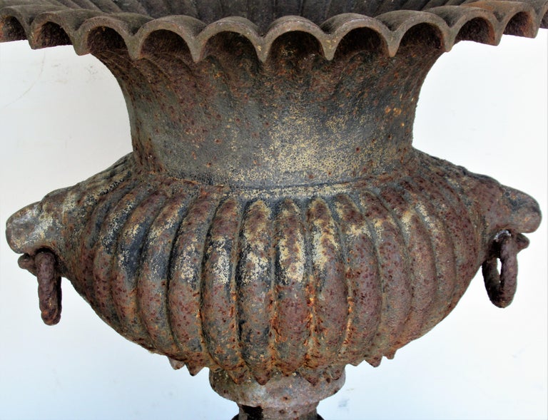 19th Century Cast Iron Campagna Form Garden Urn For Sale 10