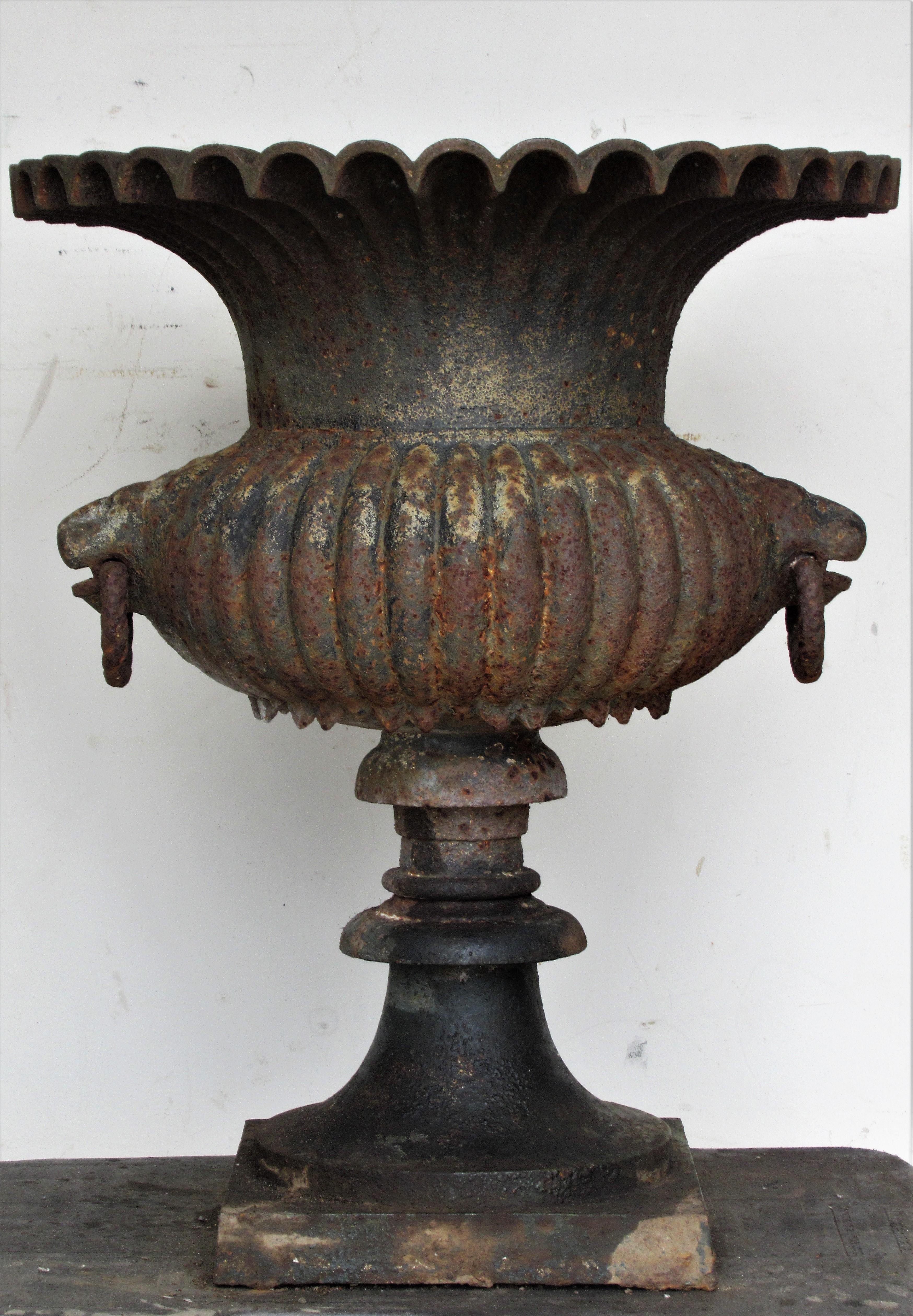 19th Century Cast Iron Campagna Form Garden Urn For Sale 9