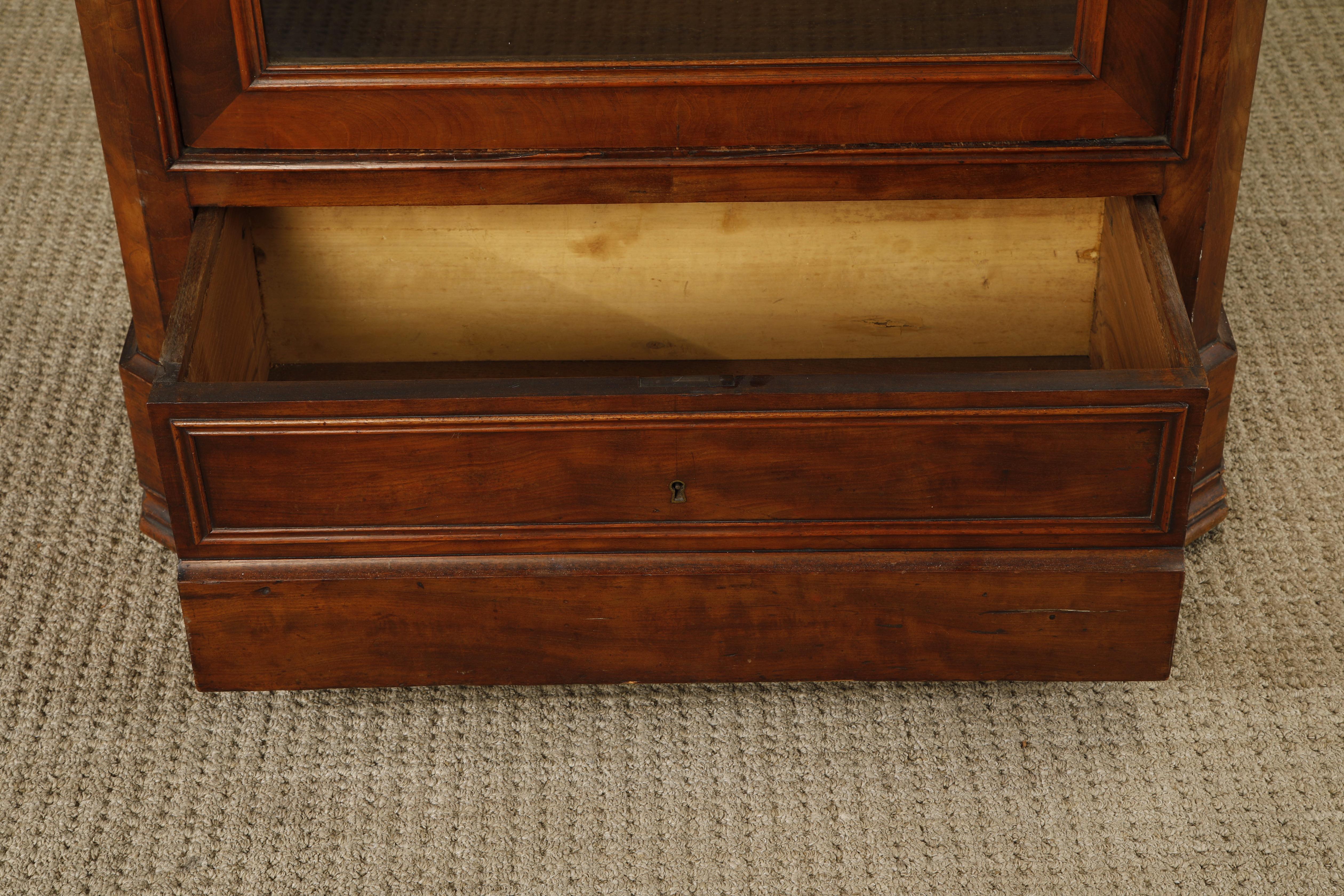 Glass Antique 19th Century Louis Philippe Vitrine Display Curio Showcase Cabinet For Sale