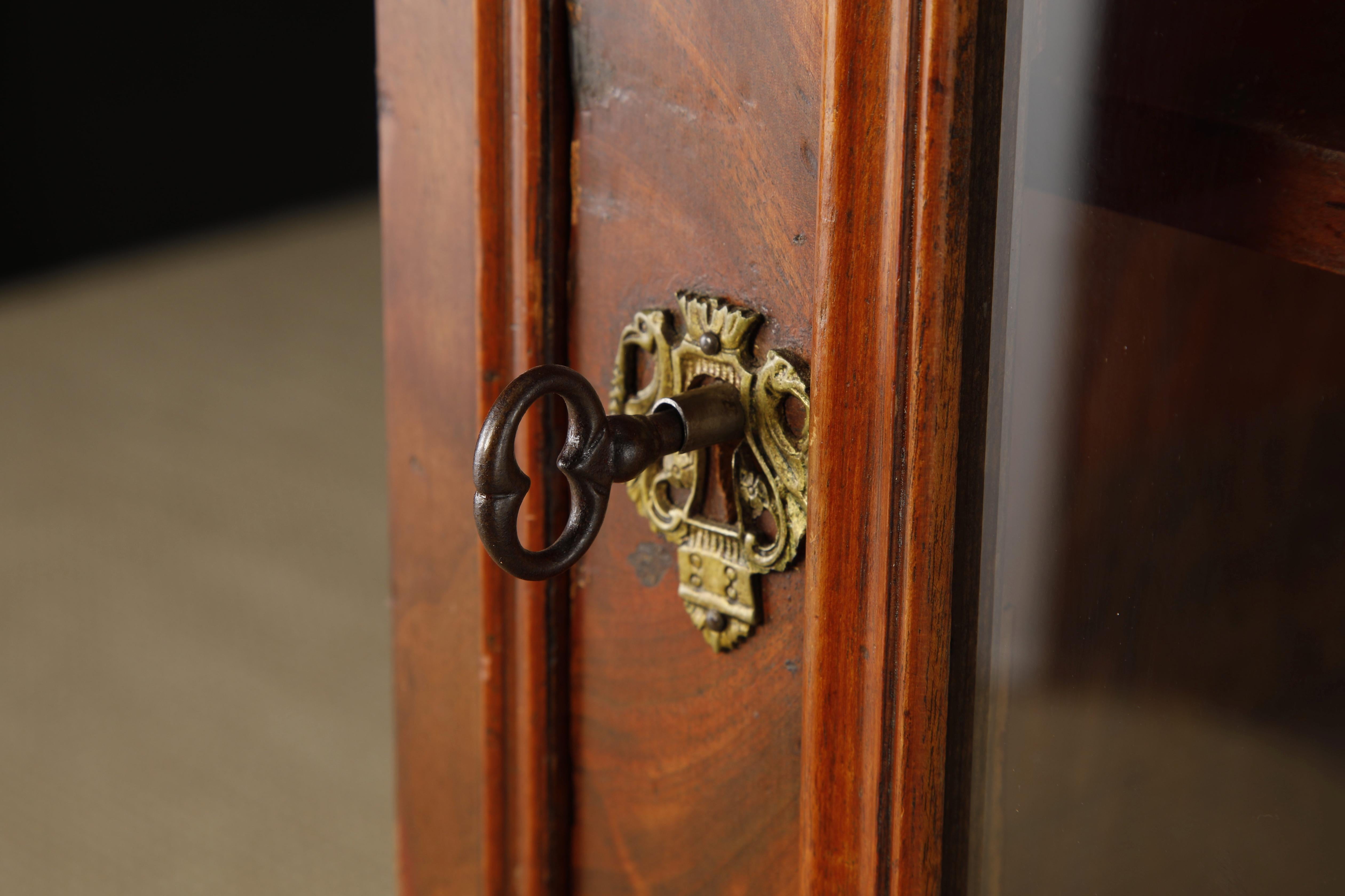 Antique 19th Century Louis Philippe Vitrine Display Curio Showcase Cabinet For Sale 1