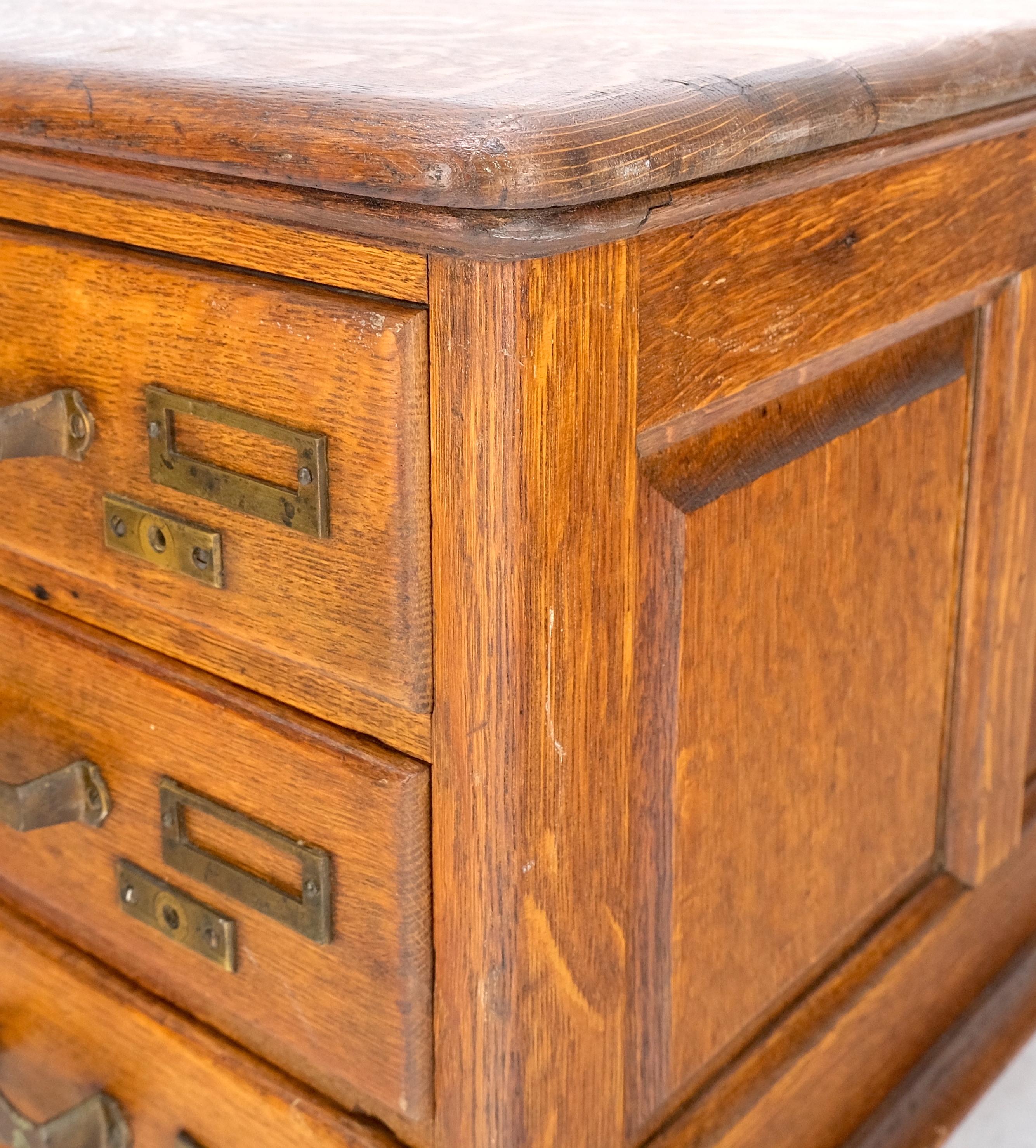 Antique 19th Century Oak Carved Lion Feet 9 Drawers File Cabinet Credenza Mint! For Sale 3