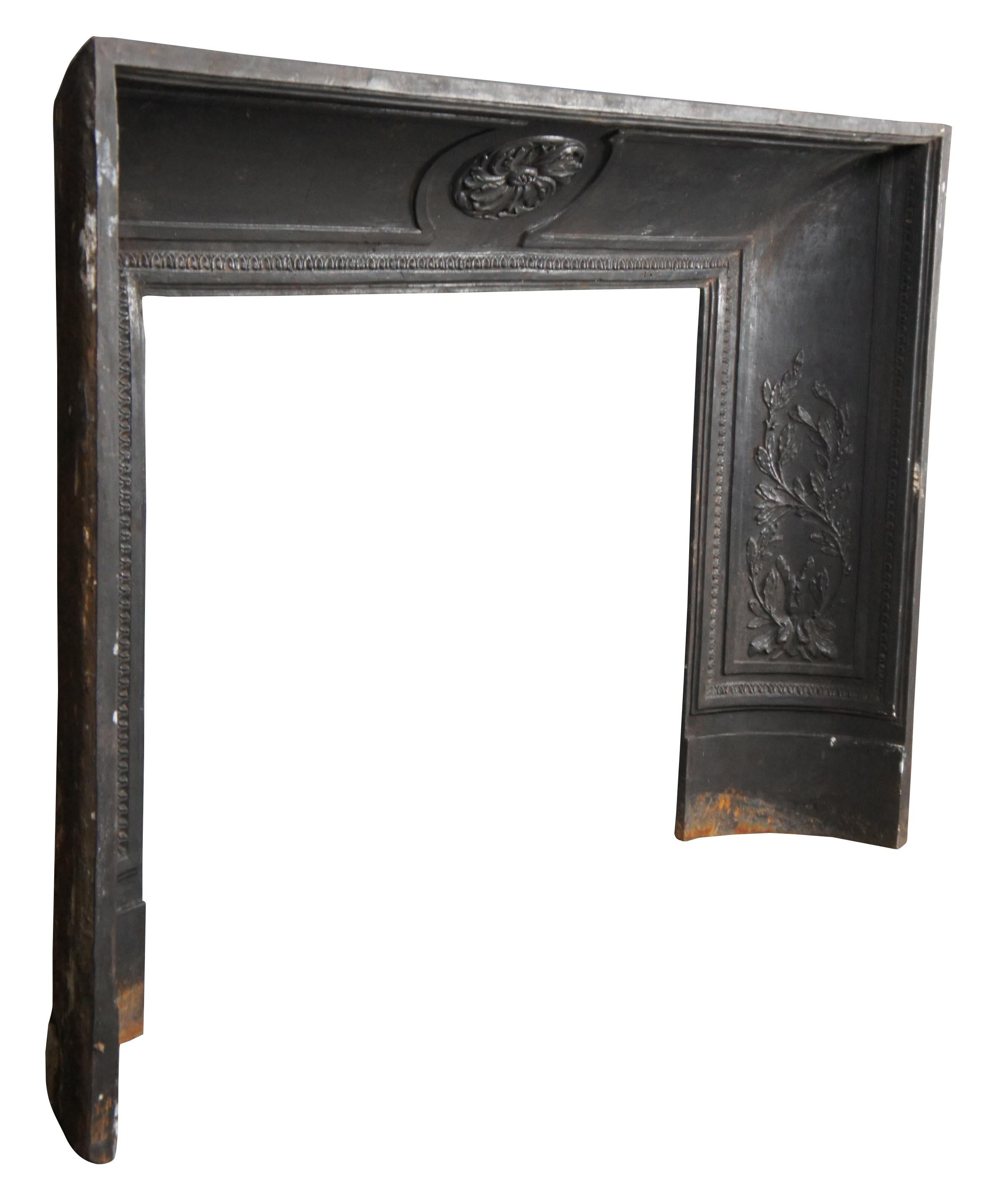 An impressive mid 19th century French cast iron fireplace insert or surround. A deep concave form with ornate detail. The insert is centered by a chrysanthemum medallion and features venus fly catchers along the sides set within intertwined foliate.