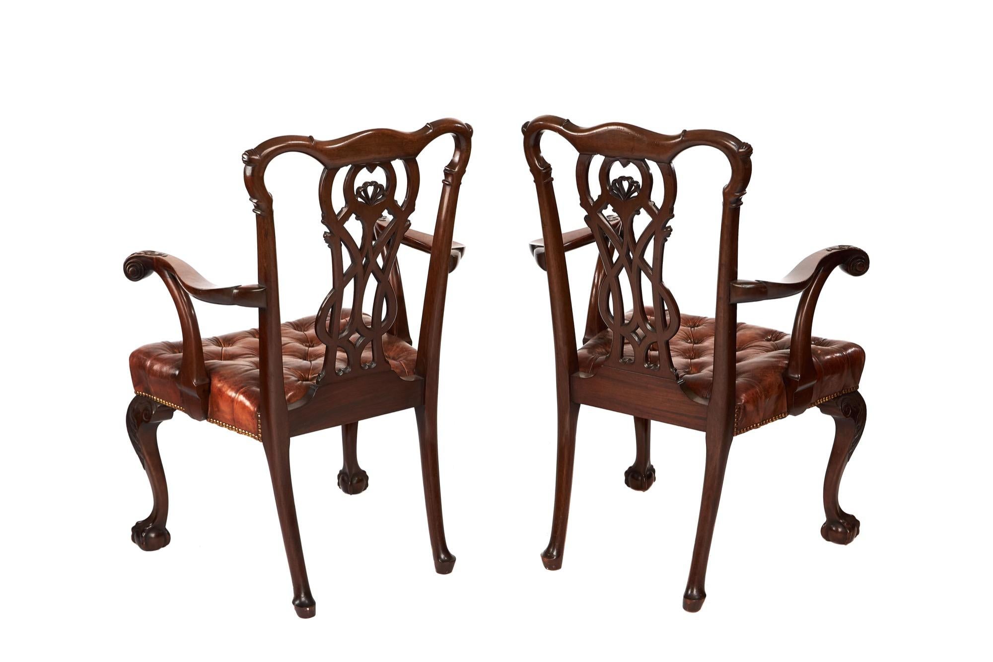 Antique pair of mahogany Chippendale style desk/ elbow chairs having exceptional quality carvings to the backs, spectacular fine scrolled carvings to the front of the open arms, beautiful carvings to the knees and terminating in glorious claw and