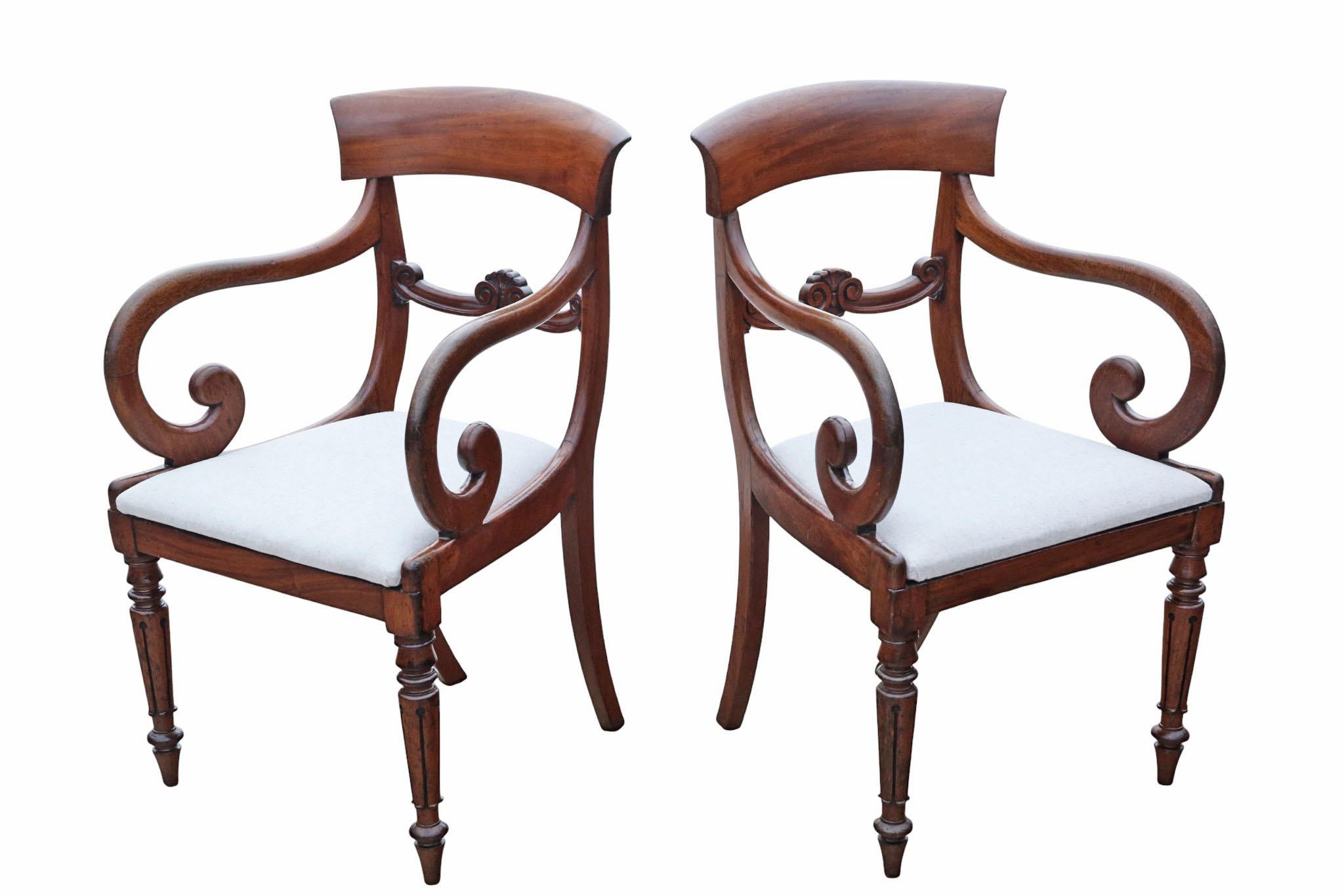 William IV Antique 19th Century Pair of Mahogany Scroll-Arm Carver Dining Chairs For Sale