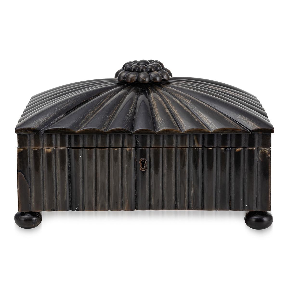 Other Antique 19th Century Regency Horn Box c.1820 For Sale
