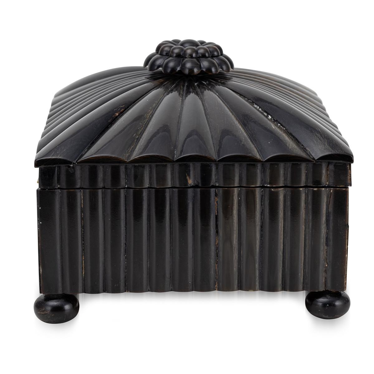 Cedar Antique 19th Century Regency Horn Box c.1820 For Sale