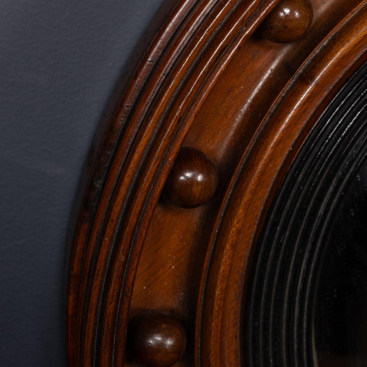 Britannique Antique 19ème siècle Regency Mahogany Encaded Convex Mirror en vente