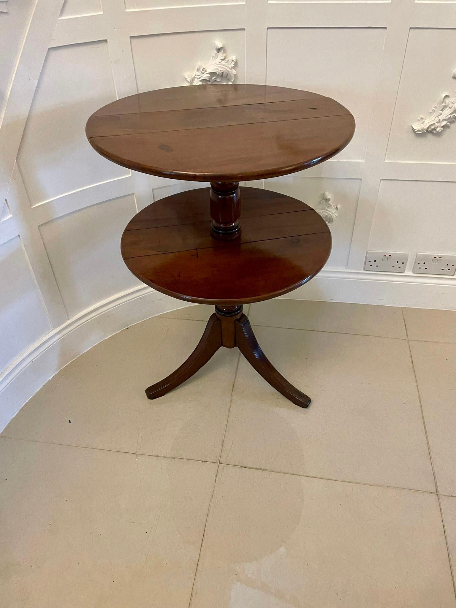 Antique 19th Century Regency Mahogany Two Tier Dumbwaiter For Sale 4