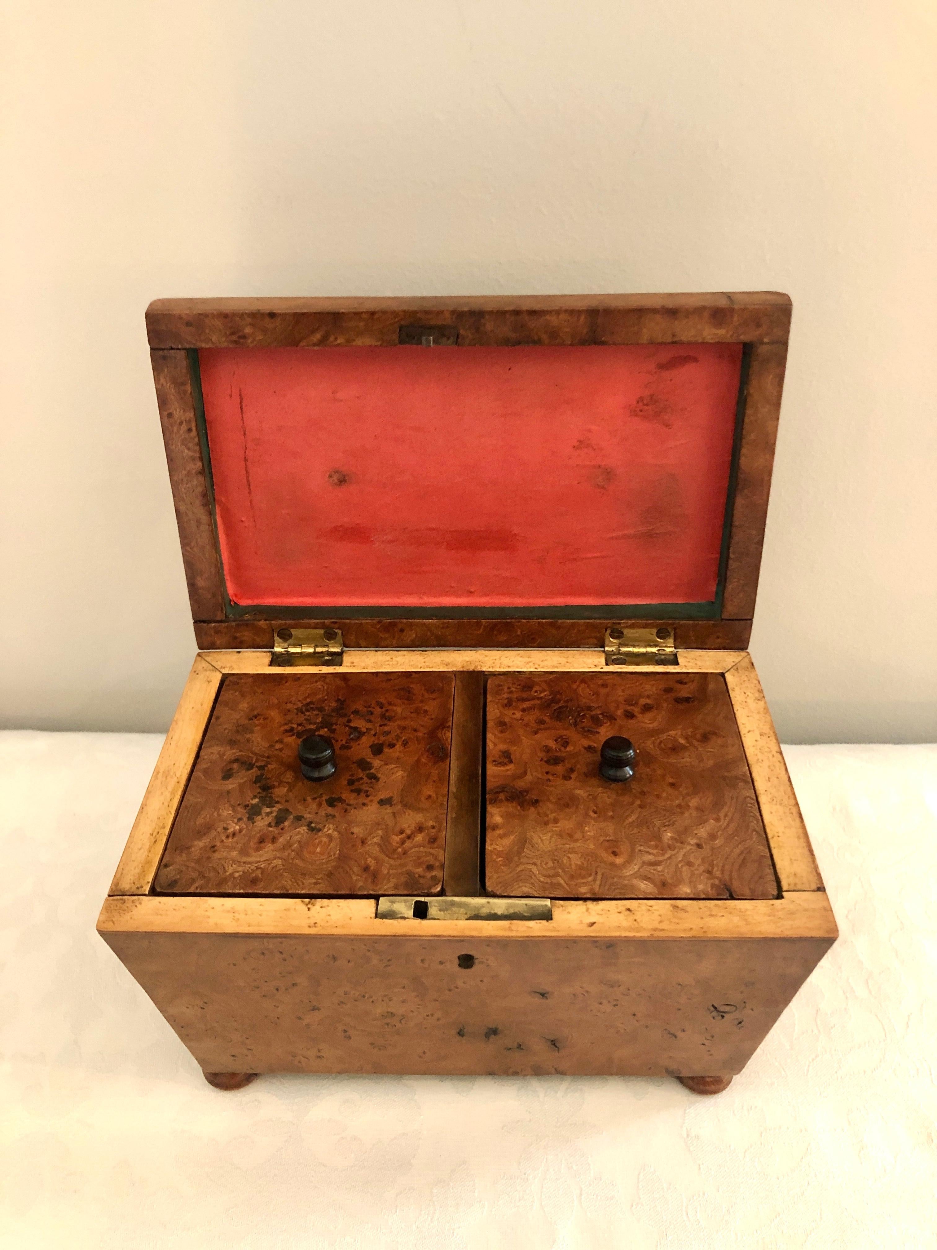 Antiguo Sarcófago con Forma de Regencia del Siglo XIX  Caja de té de olmo en venta 5