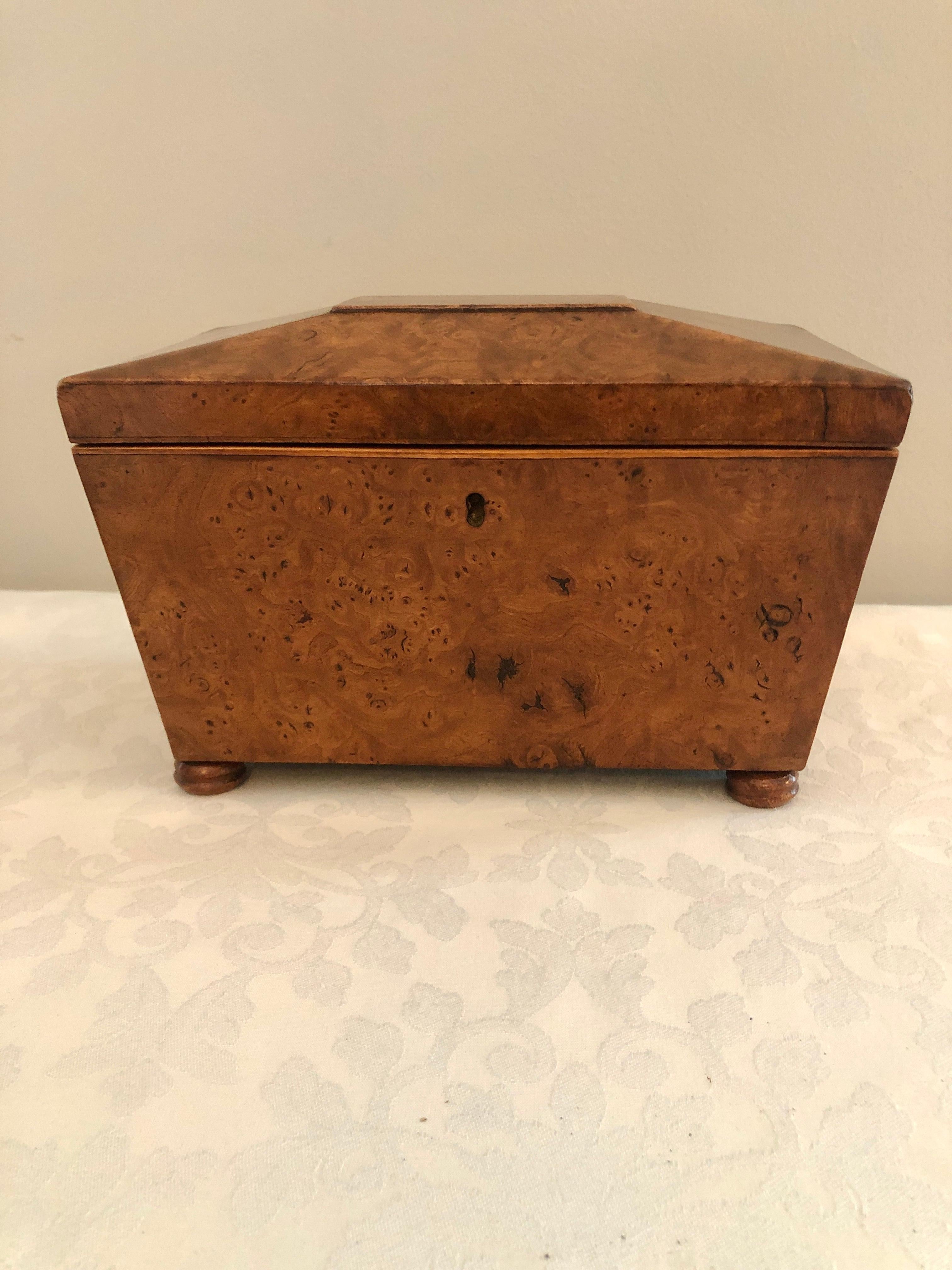 Antiguo Sarcófago con Forma de Regencia del Siglo XIX  Caja de té de olmo en venta 1