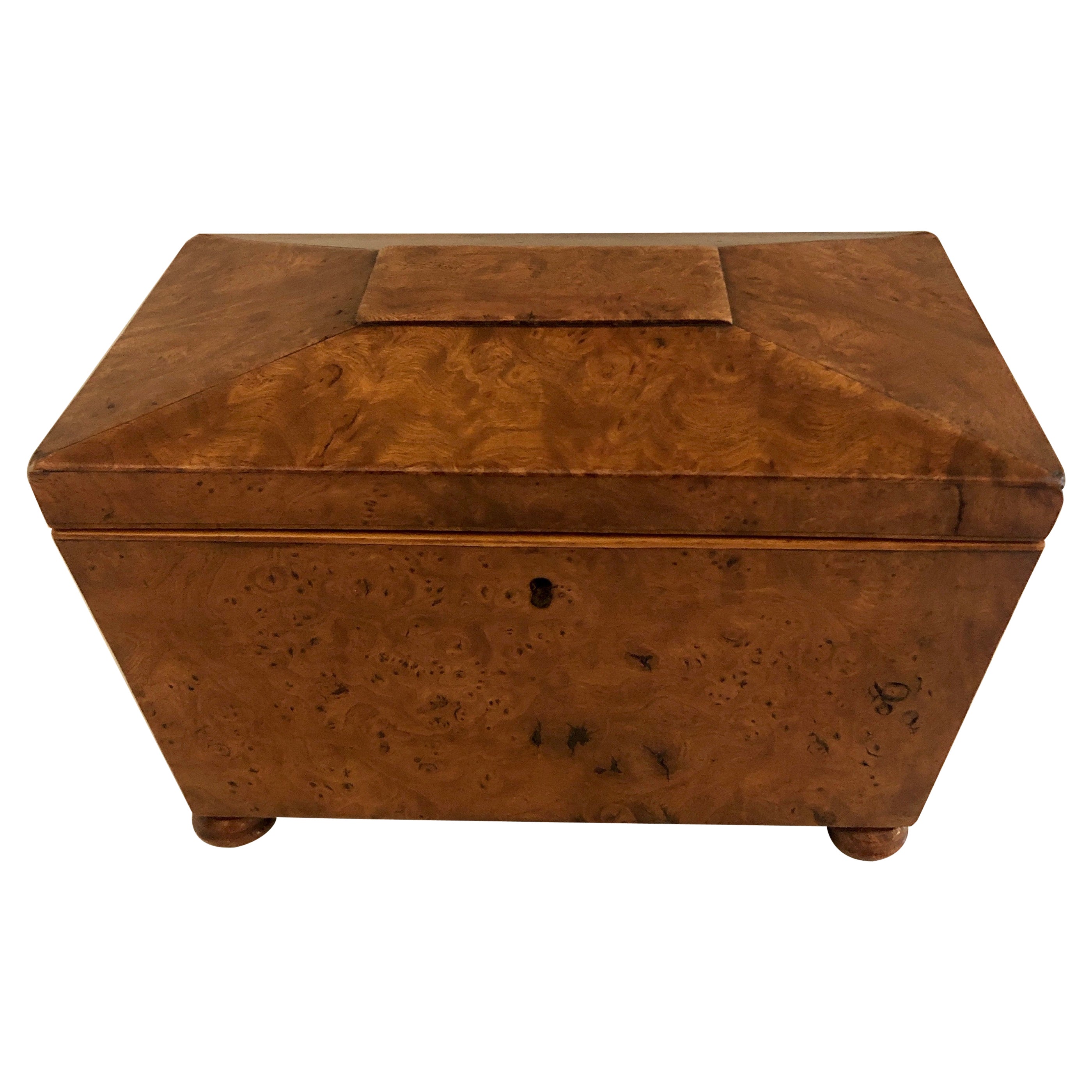 Antique 19th Century Regency Sarcophagus Shaped  Burr Elm Tea Caddy