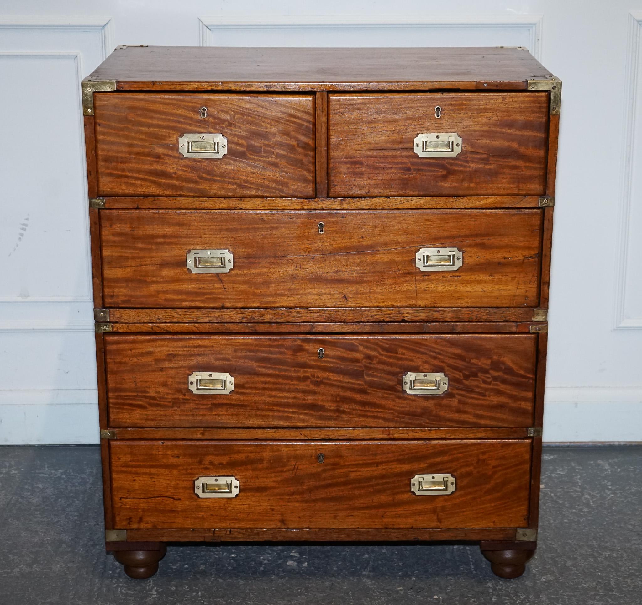 ANTIQUE 19TH CENTURY SATINWOOD MILITARY CAMPAIGN CHEST OF DRAWERS LOTS OF PATiNA For Sale 7